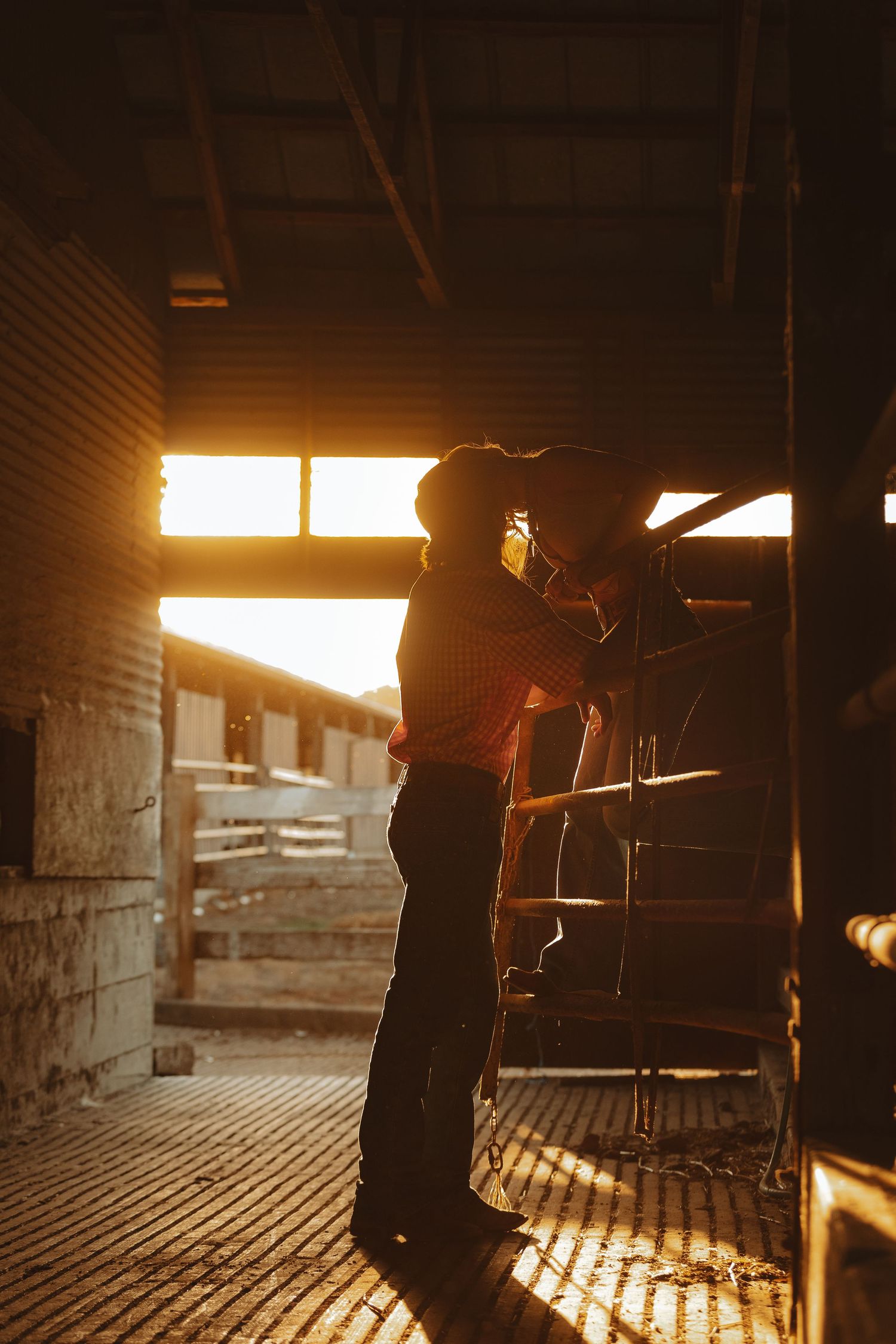 Cowboy stands in golden sunset light inside rustic barn stable.