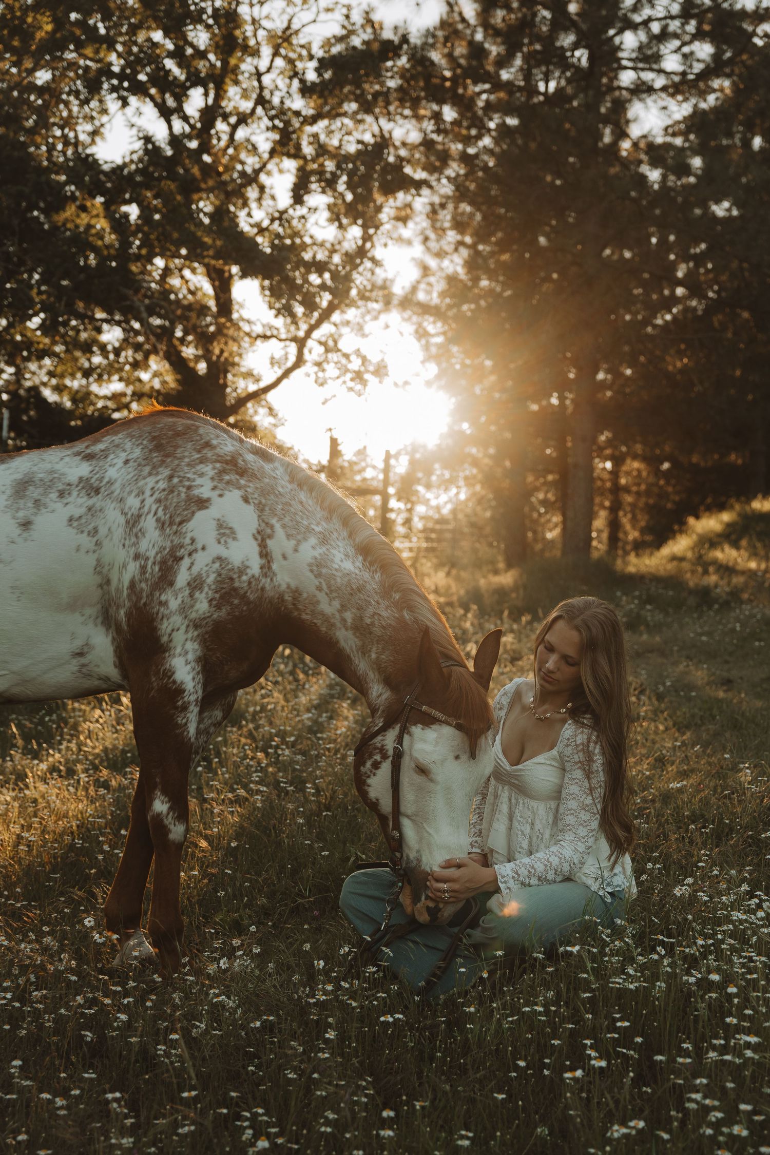 Young woman sitting in a flower field bonding with a brown and white paint horse at golden sunset.