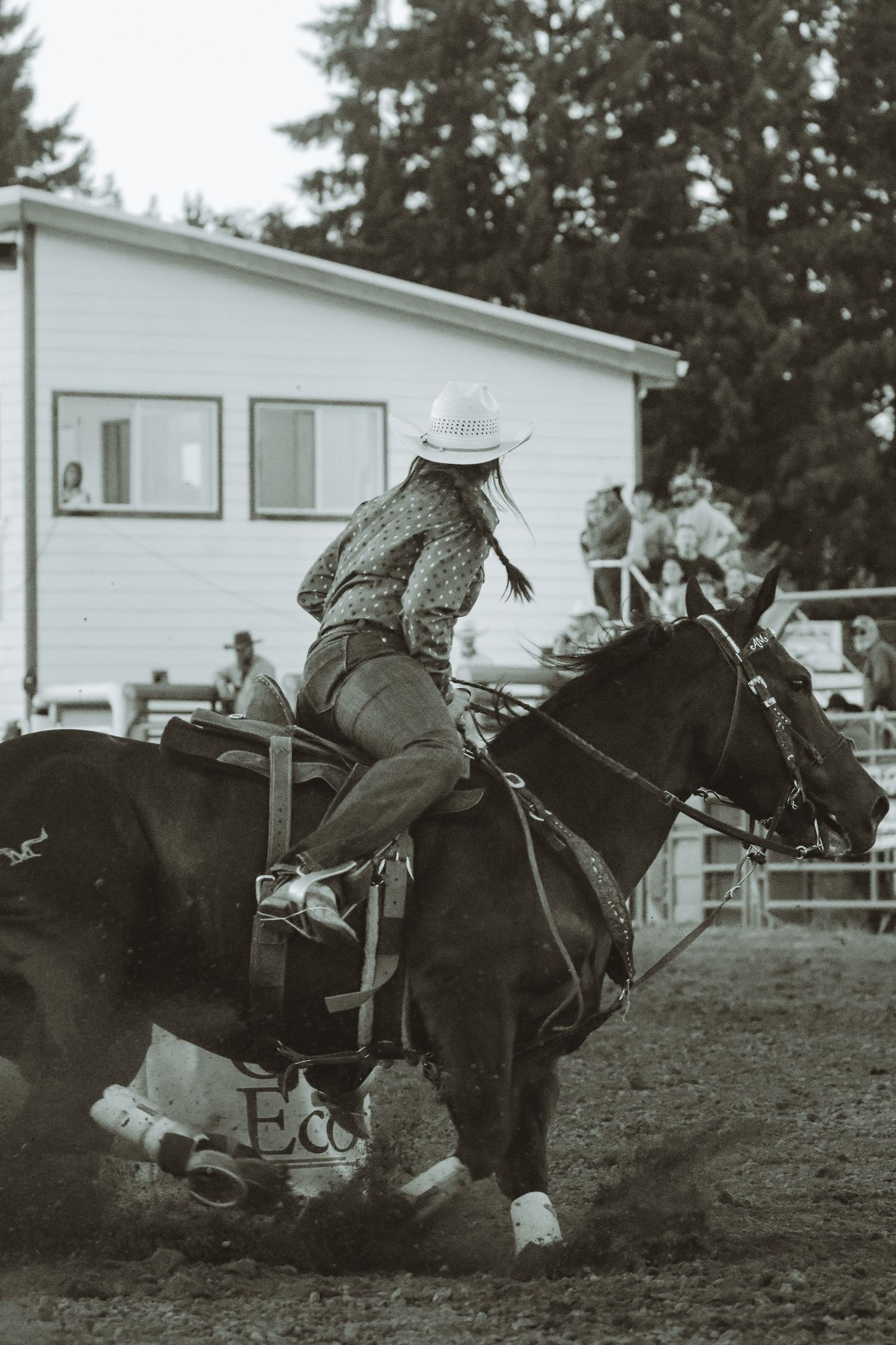 Black and white photo of a horse and rider competing in a rodeo steer wrestling event.