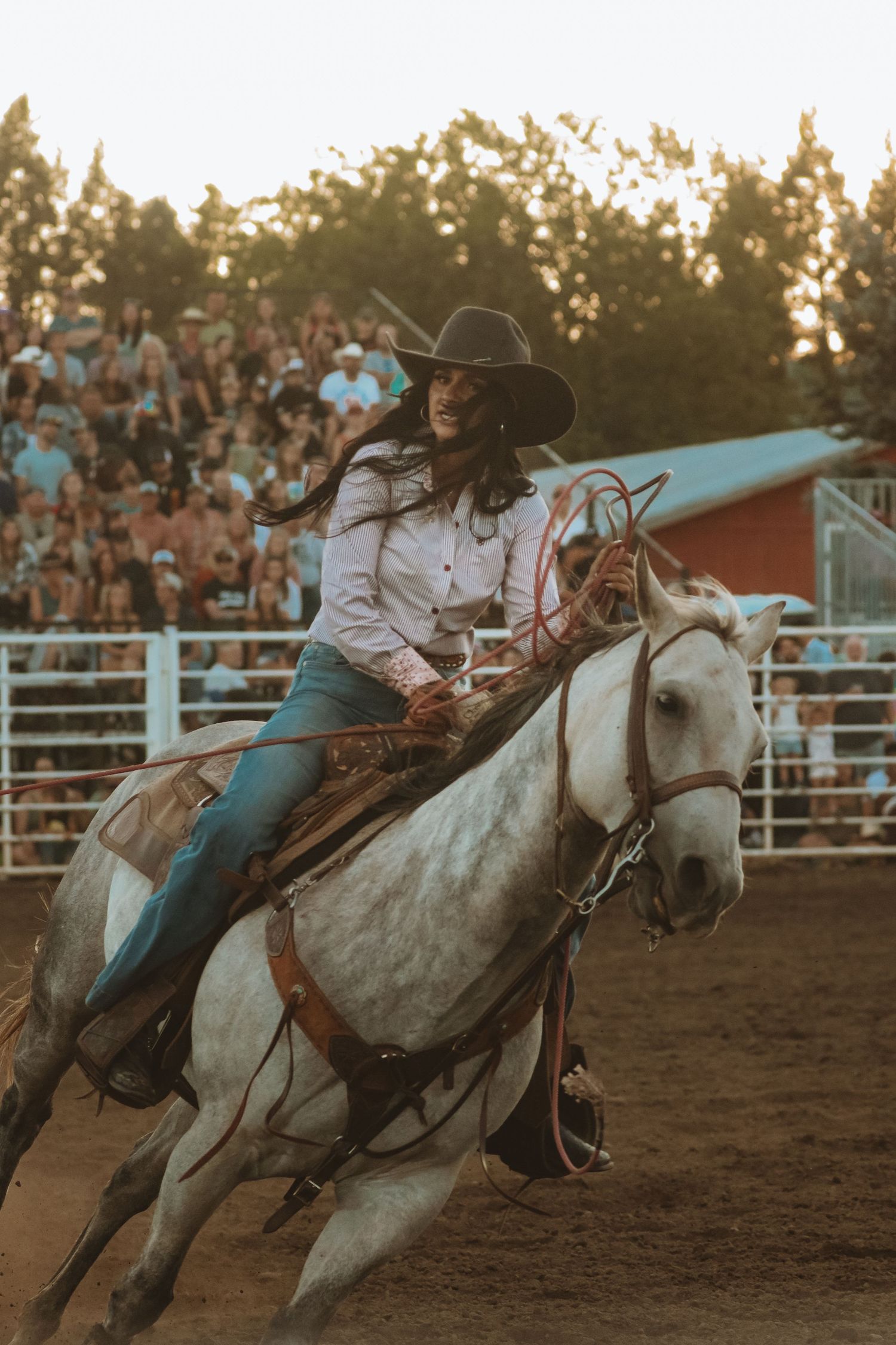 Riders racing on horseback through arena during sunset rodeo competition.