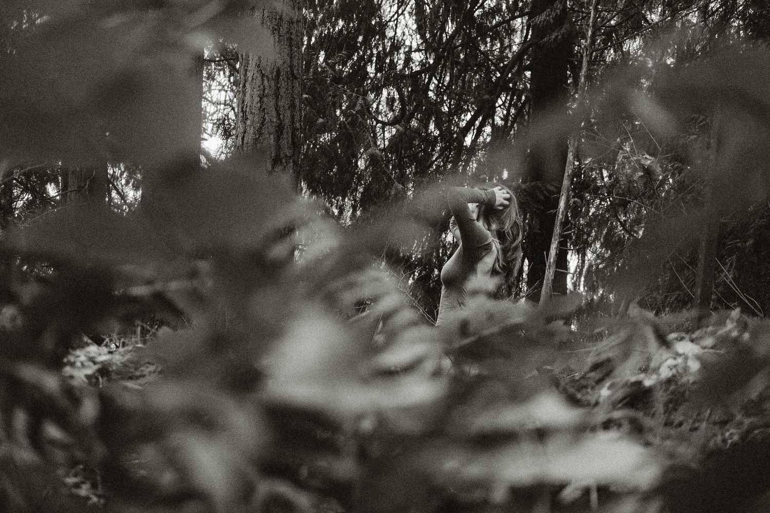 Artistic black and white forest scene with blurred foliage in foreground.