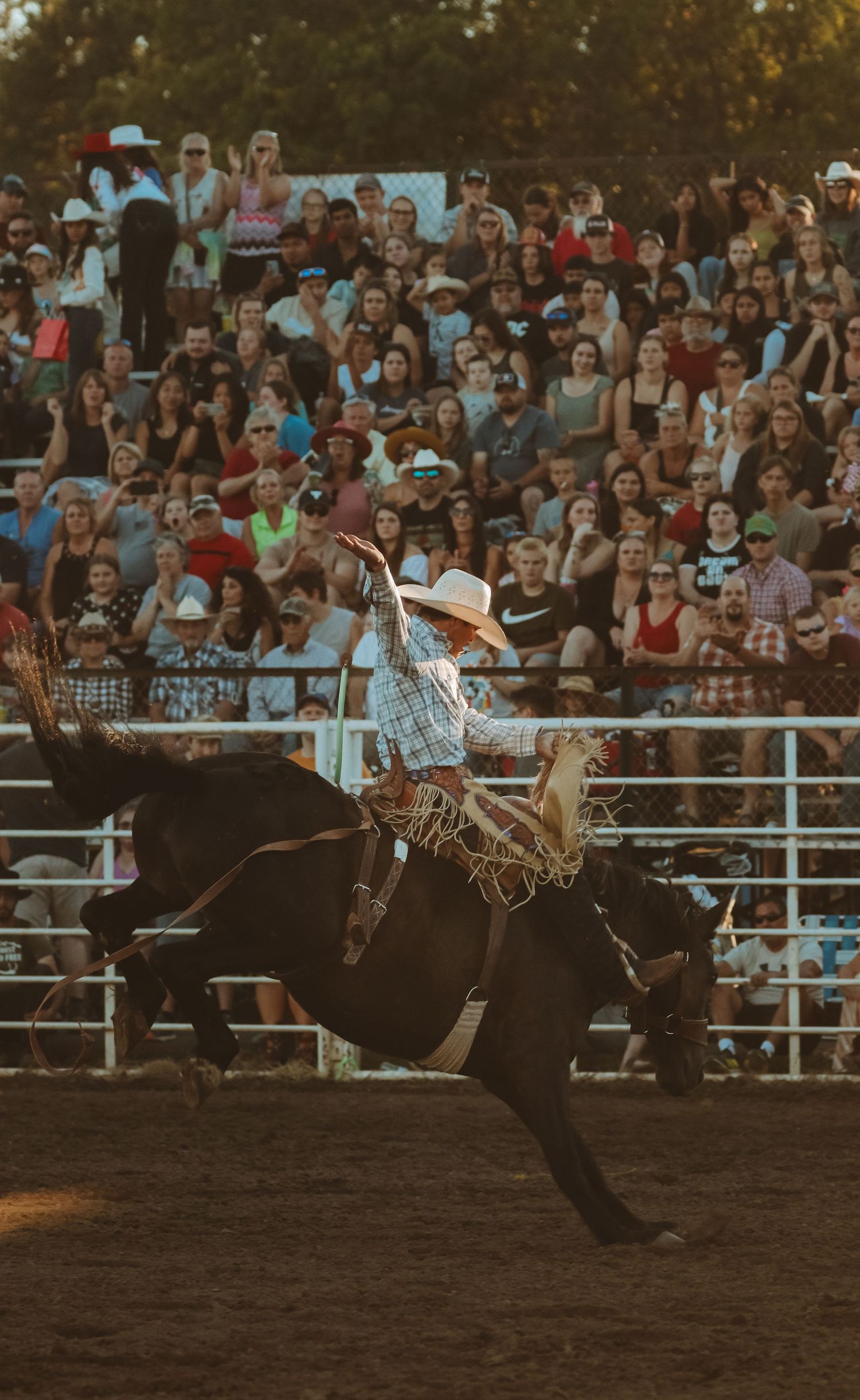 A rodeo rider competes in a dramatic bronc riding event as the crowd watches from packed stands at sunset.