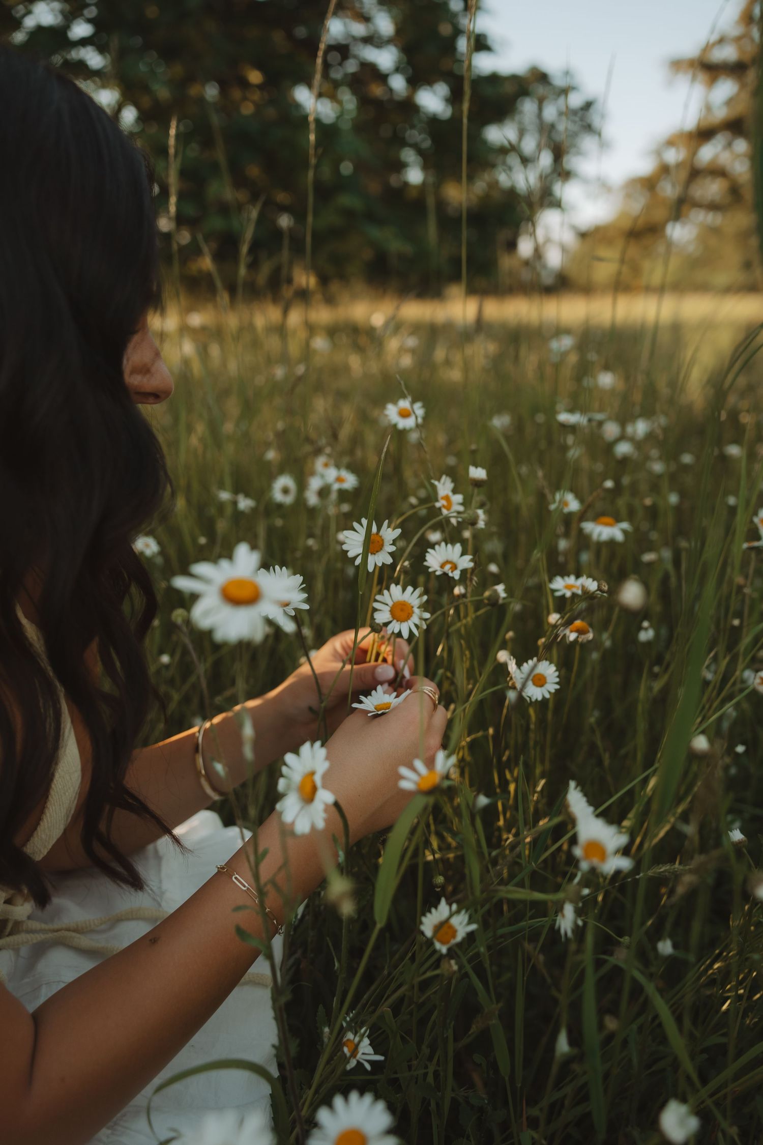 Woman in white dress picking white daisies in a sunlit meadow field during golden hour.