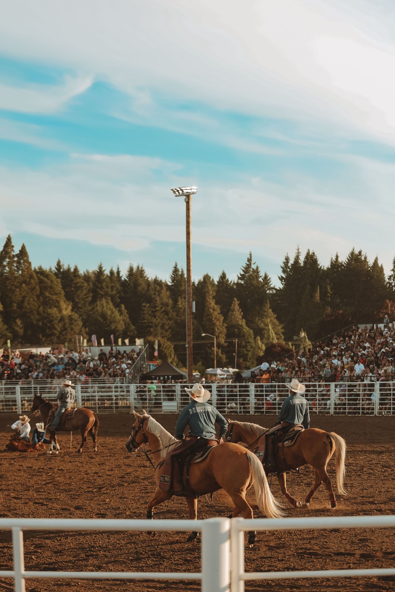 Riders on horseback in a rodeo arena with packed grandstands and evergreen trees in the background.