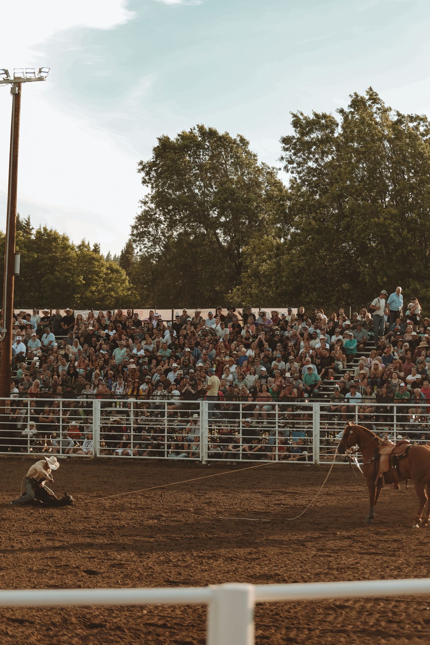 Rodeo action scene with performers in a dirt arena surrounded by crowded bleachers.