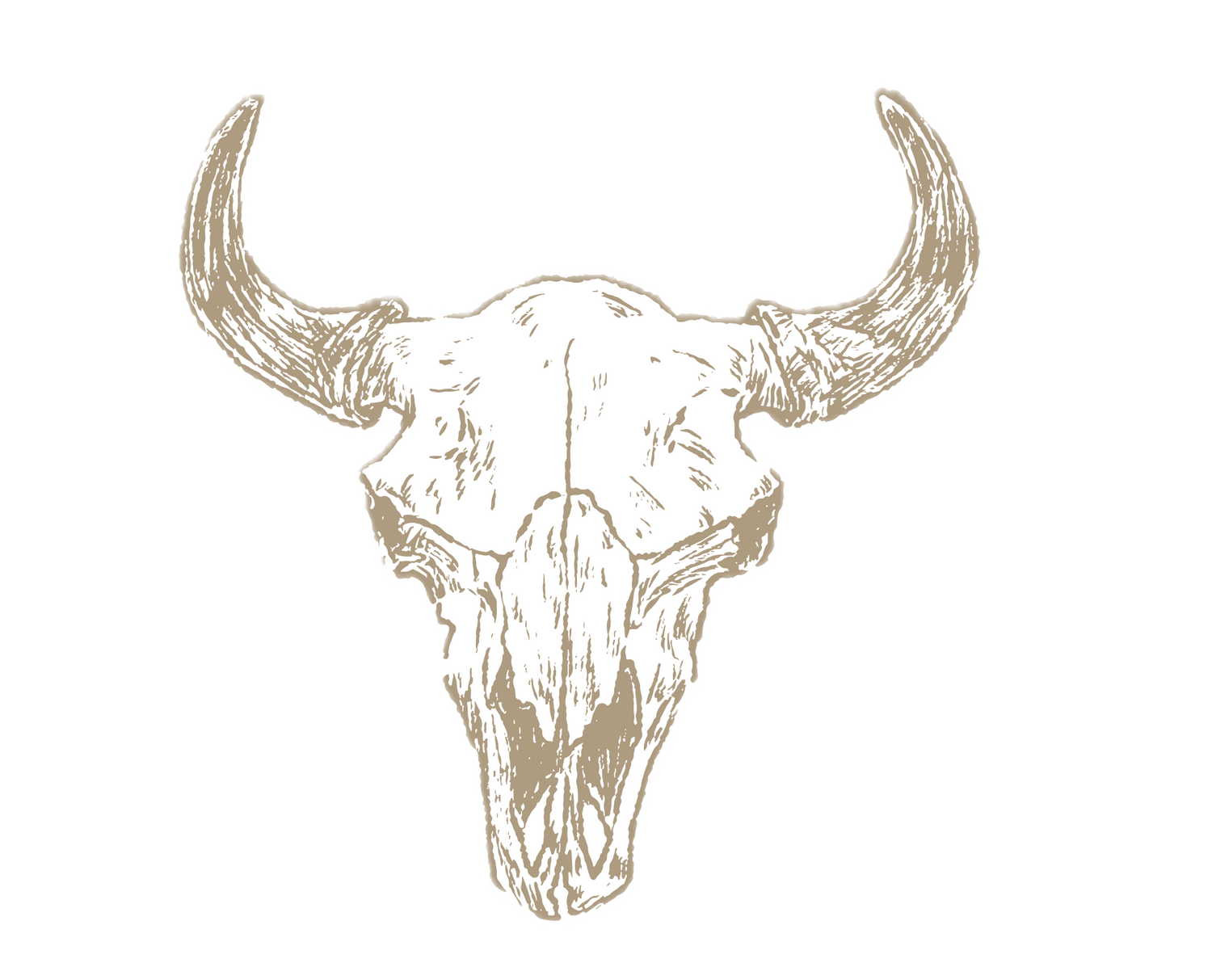 Simple line drawings of cattle skulls arranged in a horizontal pattern.