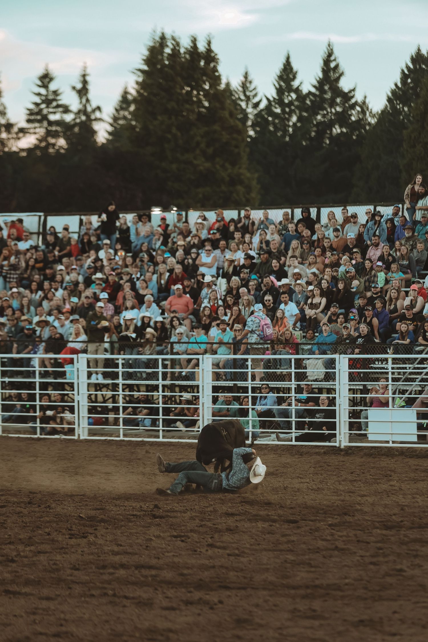 Dramatic rodeo action shot with a packed grandstand of spectators watching intently.