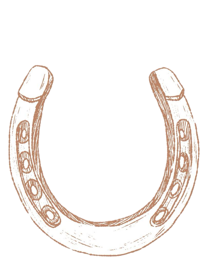 Sketched horseshoes arranged in a repeating pattern design.