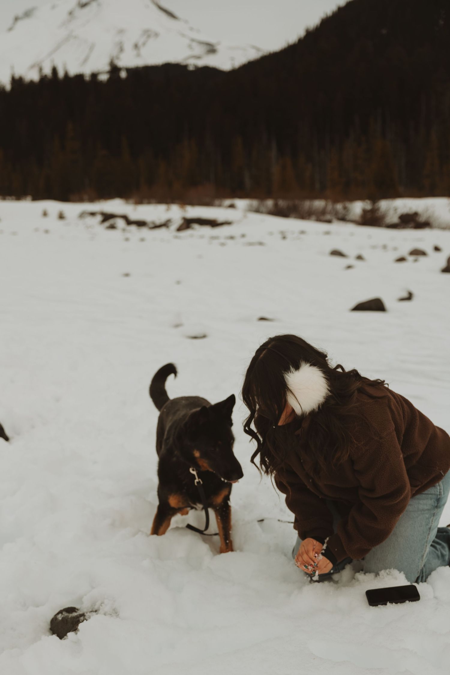 Woman in brown jacket playing with a Rottweiler dog in snowy mountain landscape with pine trees.