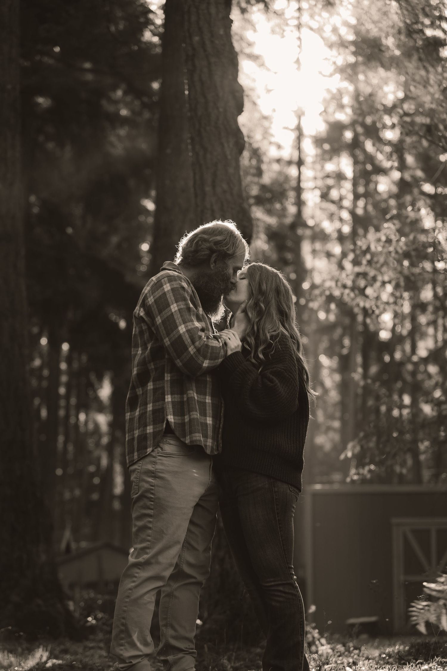 A couple embraces in a misty forest setting with sunlight filtering through the trees creating a romantic atmosphere.