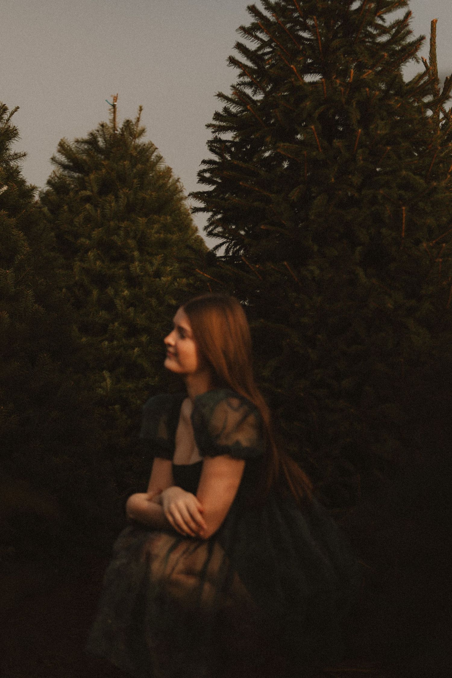 Moody portrait against evergreen trees during sunset hours.