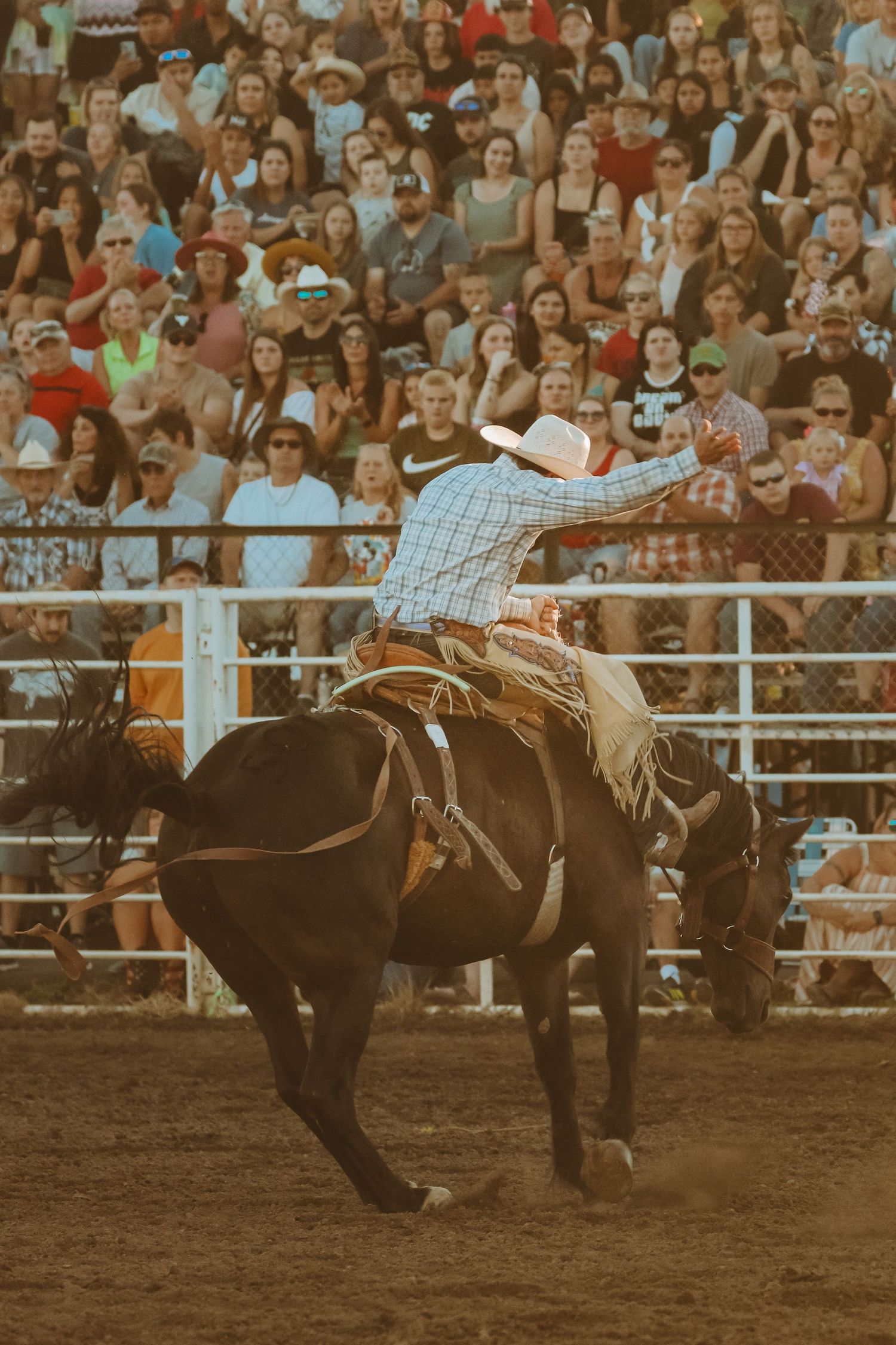 Rodeo rider being thrown from a bucking bronco in front of a crowded grandstand.