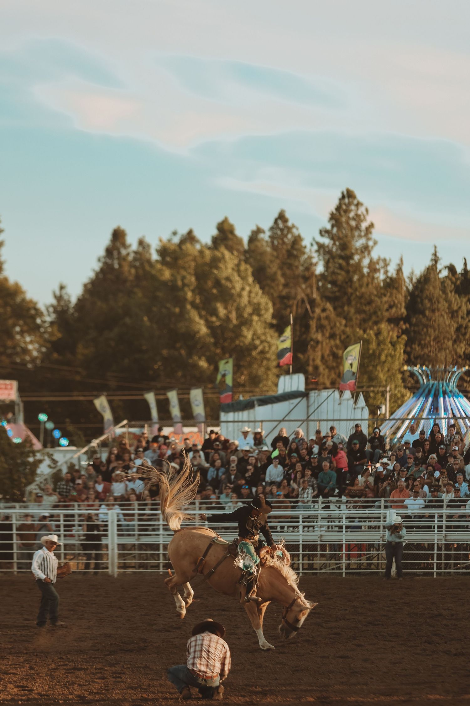 Bronc riding action at a rodeo with fairground attractions visible behind the arena.