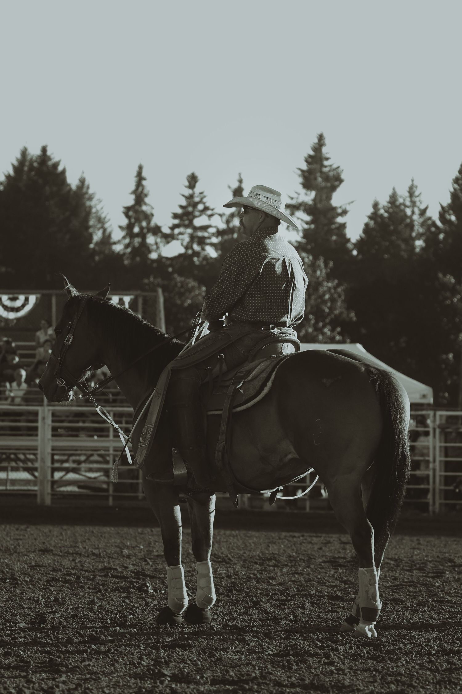 A silhouetted rider sits atop a horse in an evening rodeo arena setting.