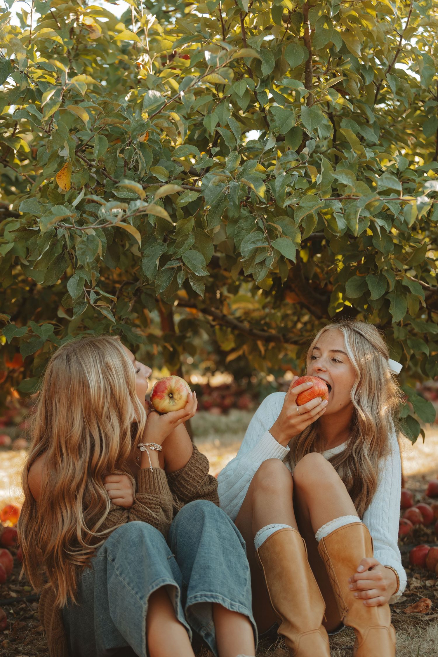 Friends lying down in an orchard holding apples during sunset.