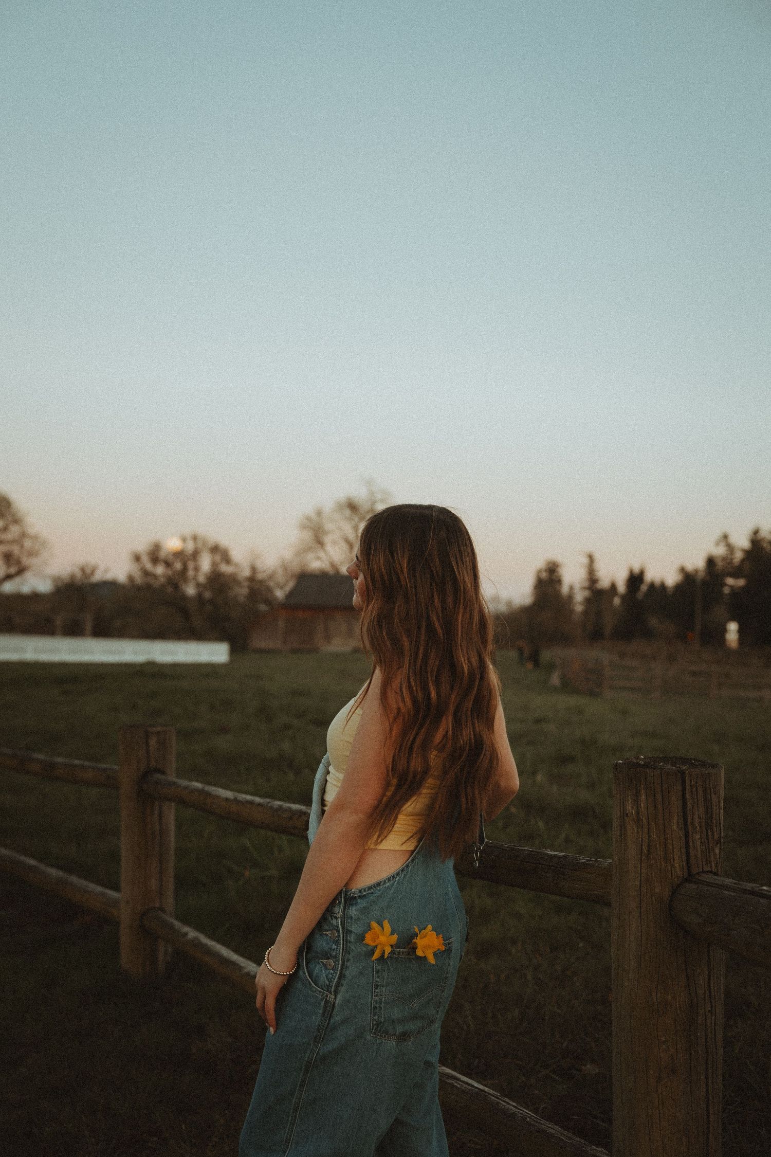 Young woman in denim overalls with yellow flowers stands by a wooden fence at sunset on a farm.