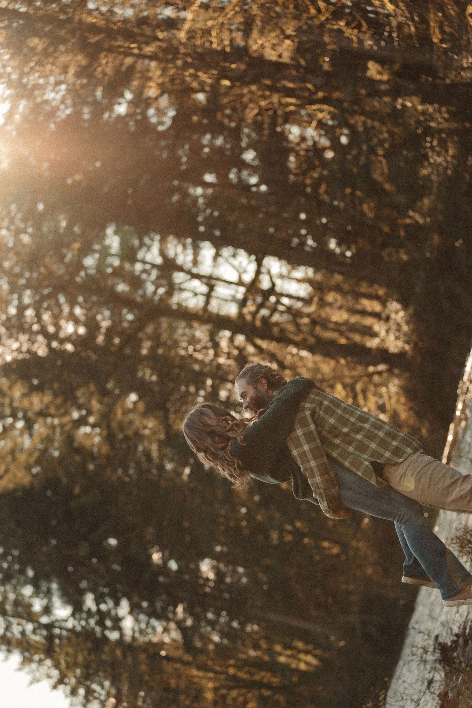 A sequence of four similar images showing a person in plaid shirt sitting on a tree trunk in a golden-lit forest setting.