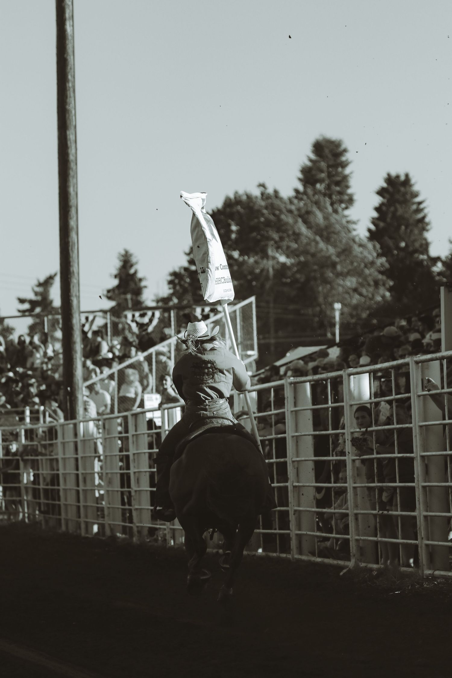 Black and white silhouette of horse and rider jumping over fence at competition.