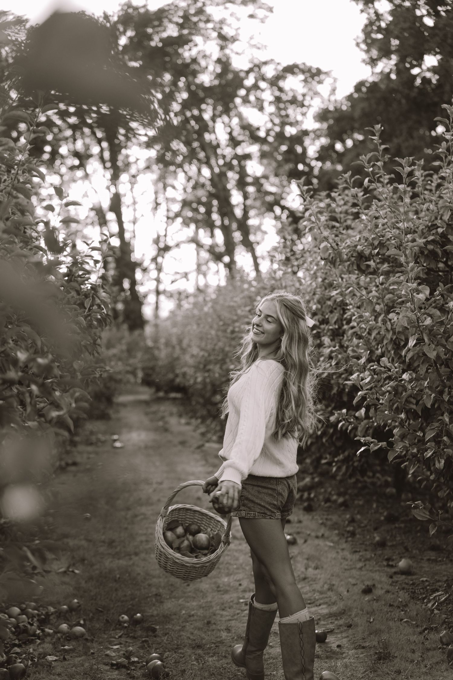 Black and white image of someone gathering apples in rustic baskets along a tree-lined orchard path.