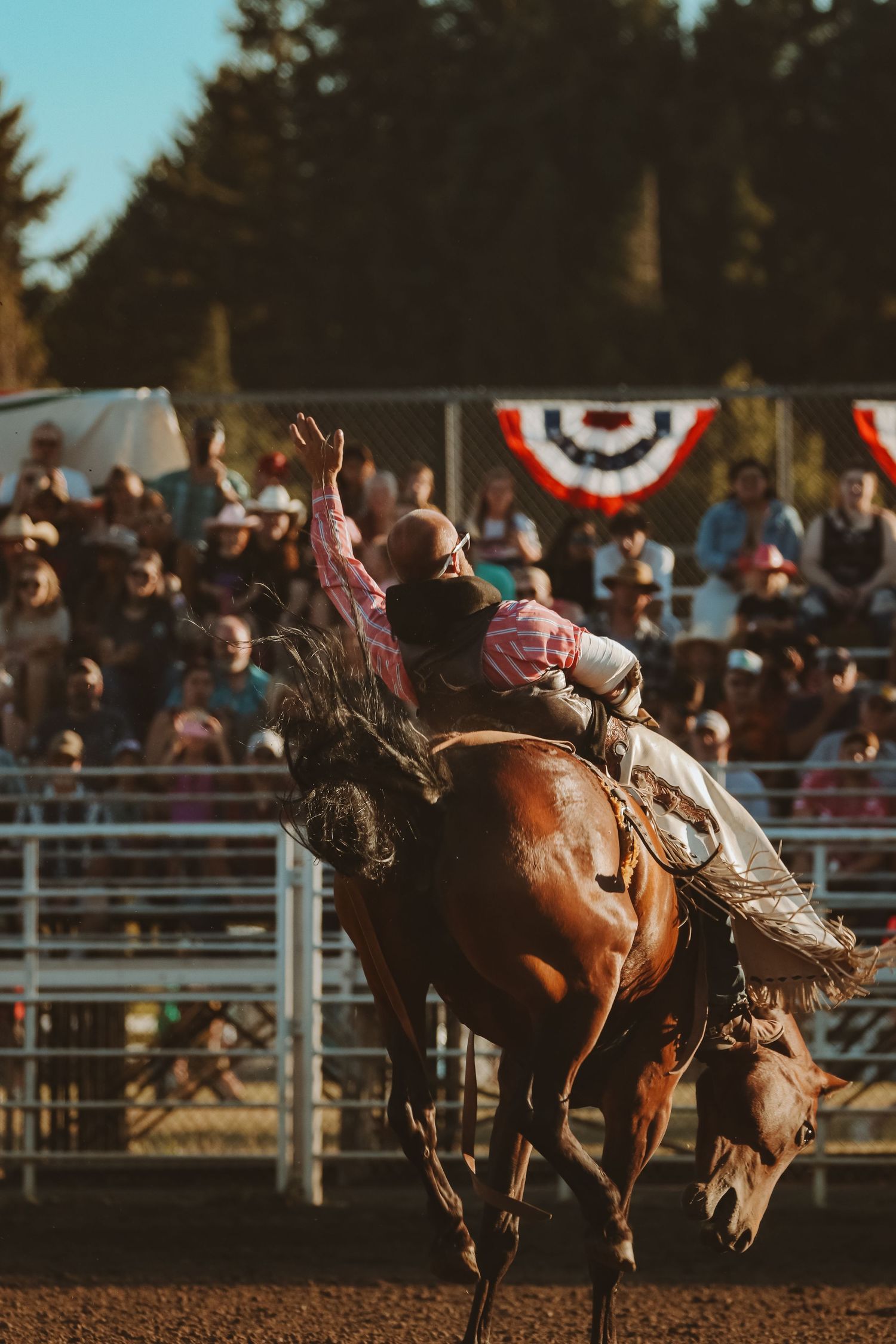 Action shot of bronc riding at a rodeo with spectators and American flags visible in the background.