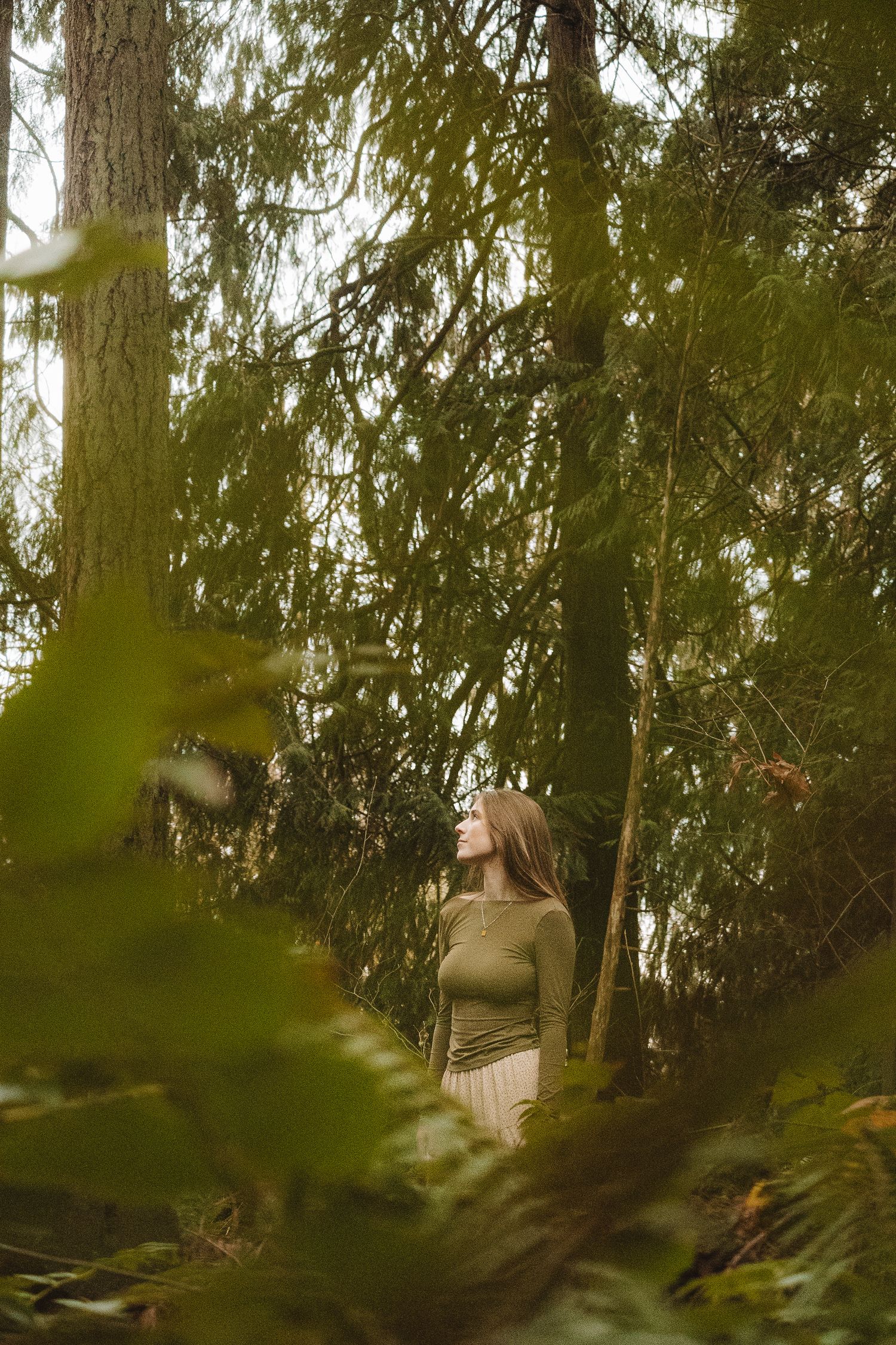 Atmospheric woodland scene with figure partially visible through evergreen branches.