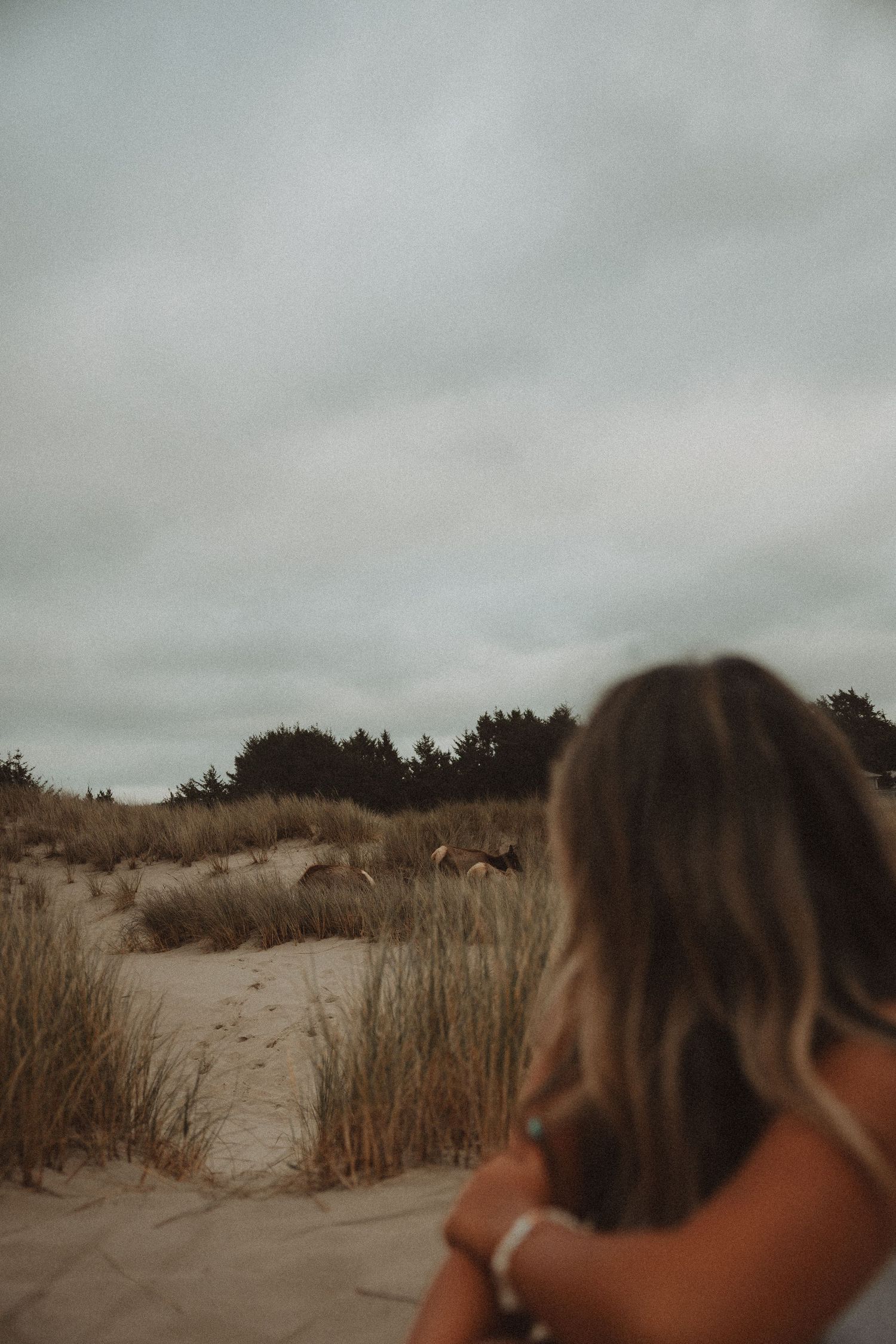 Rear view of woman with long hair overlooking sandy dunes with beach grass and trees under cloudy sky.