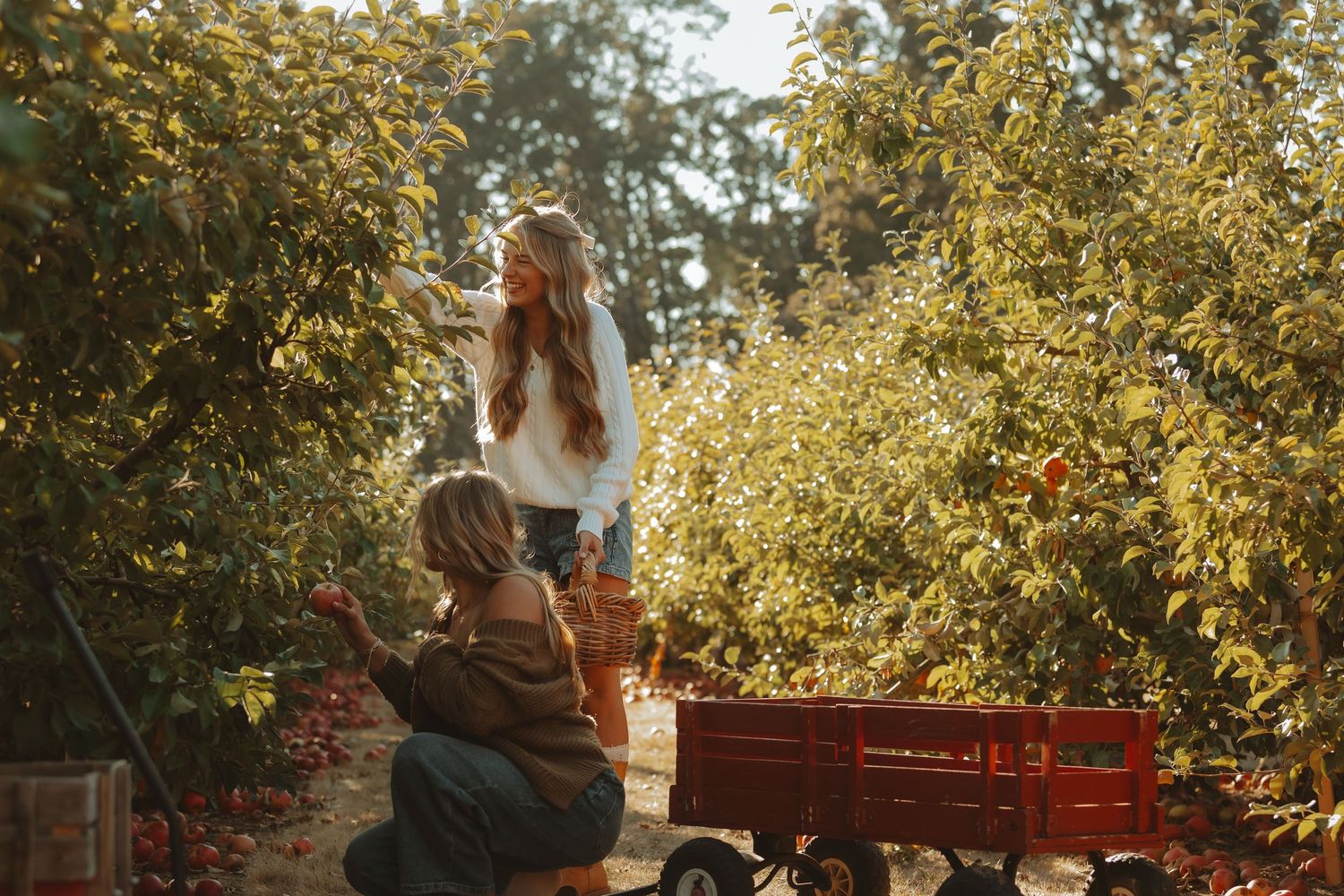 Couple enjoying a romantic autumn picnic in an orchard with red wagon and blanket under golden sunlit trees.