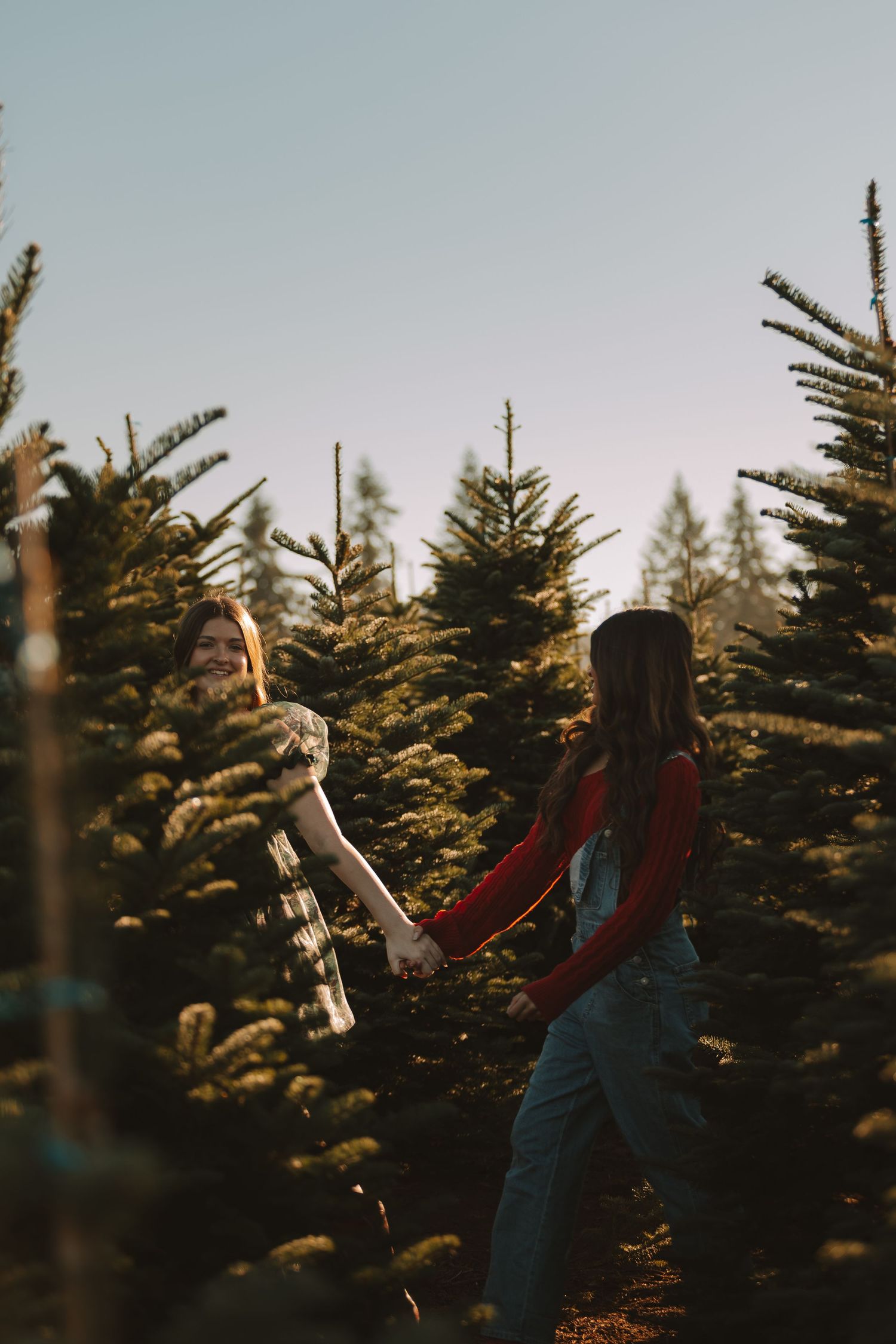Person in overalls dances between rows of Christmas trees during golden hour.