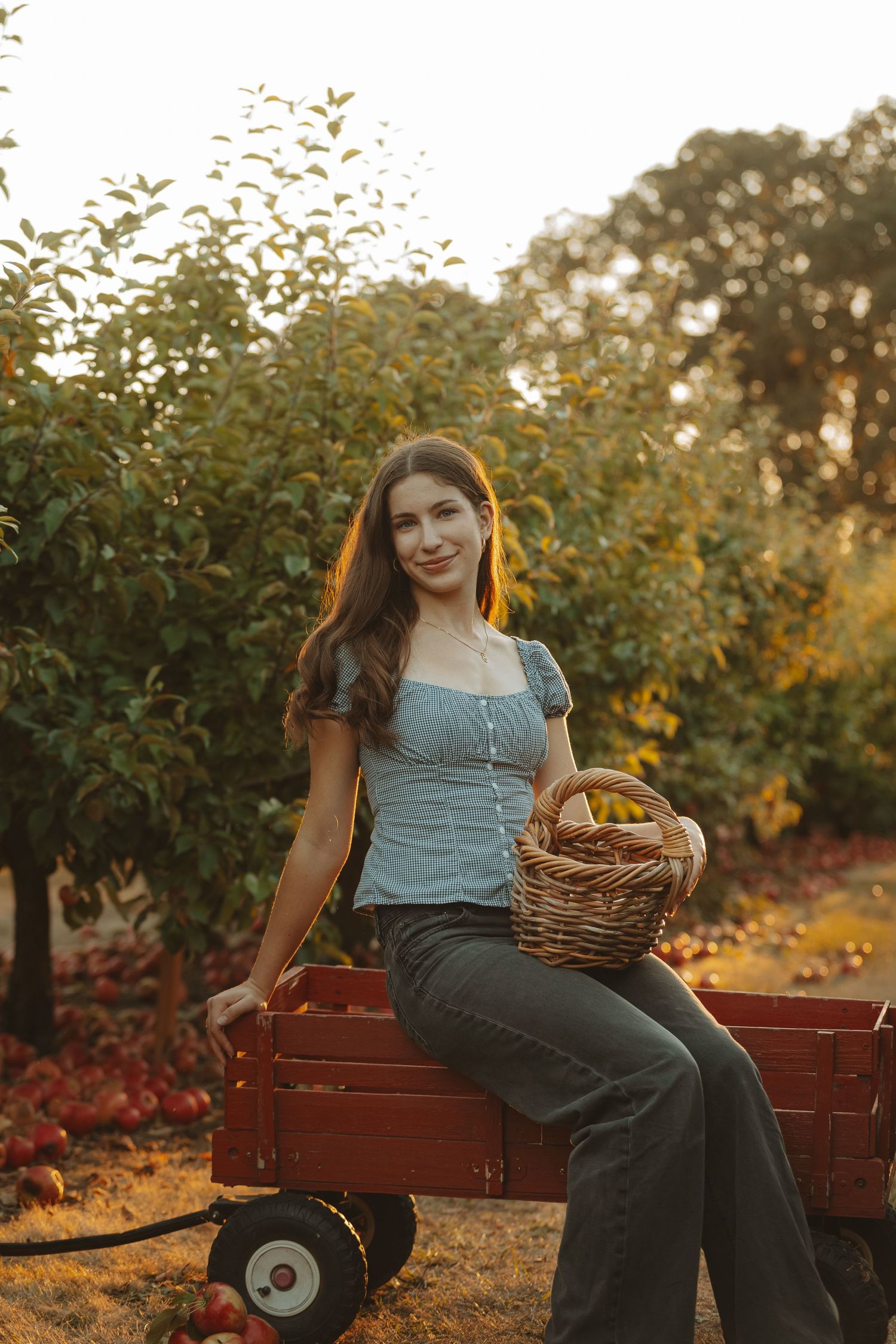 Person sitting on a red wooden bench at sunset holding a woven basket in an orchard setting.