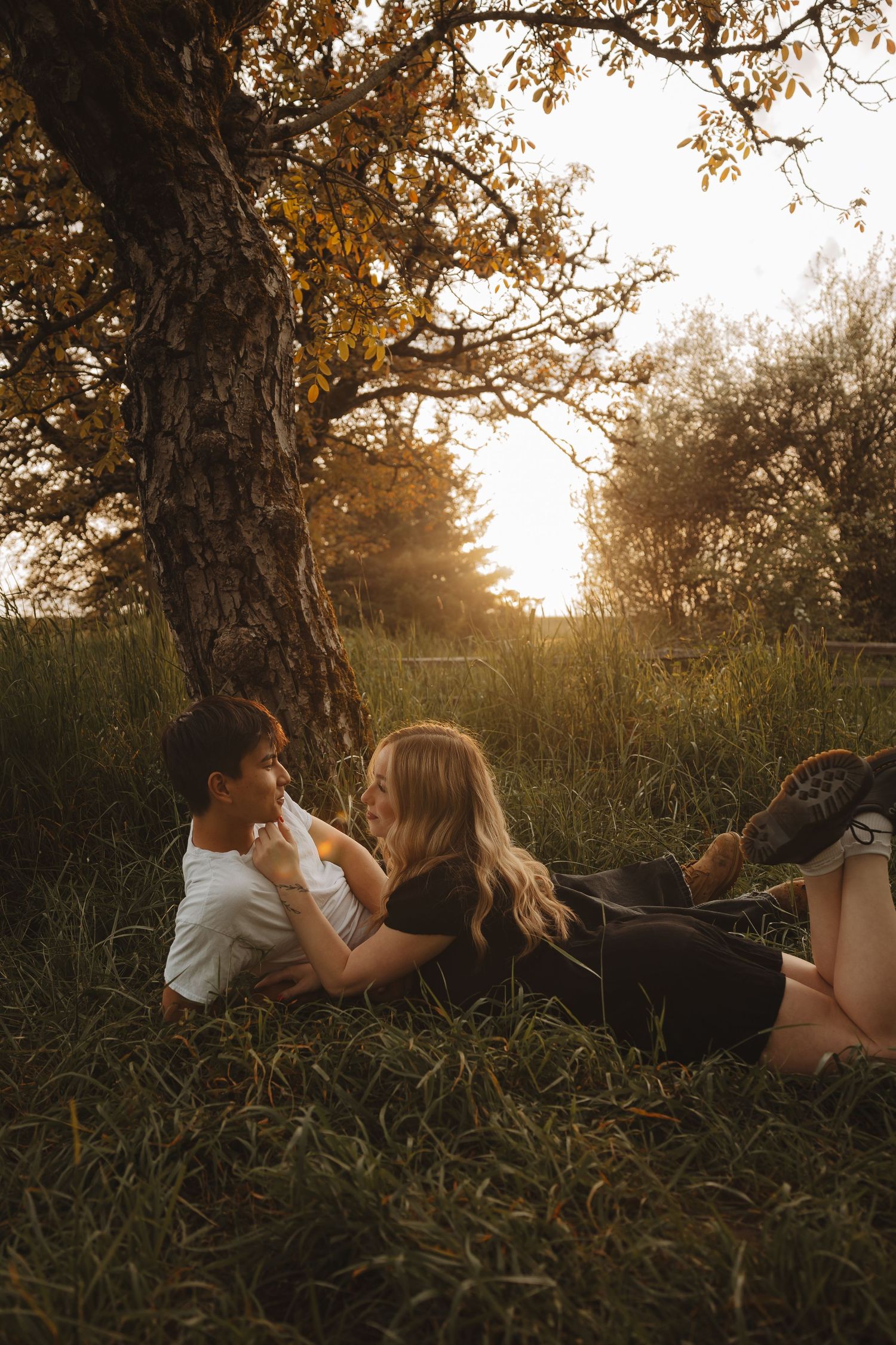 Romantic couple relaxing together on grass under a tree during golden hour sunset in a lush meadow.
