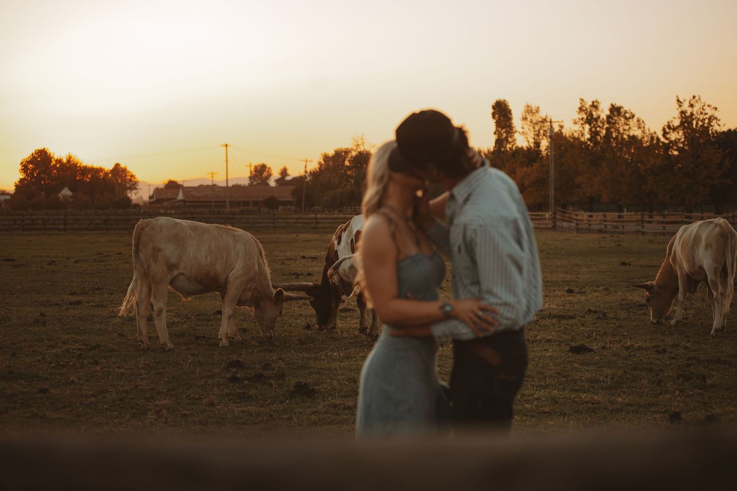Couple embraces in a rustic field with horses at golden sunset.