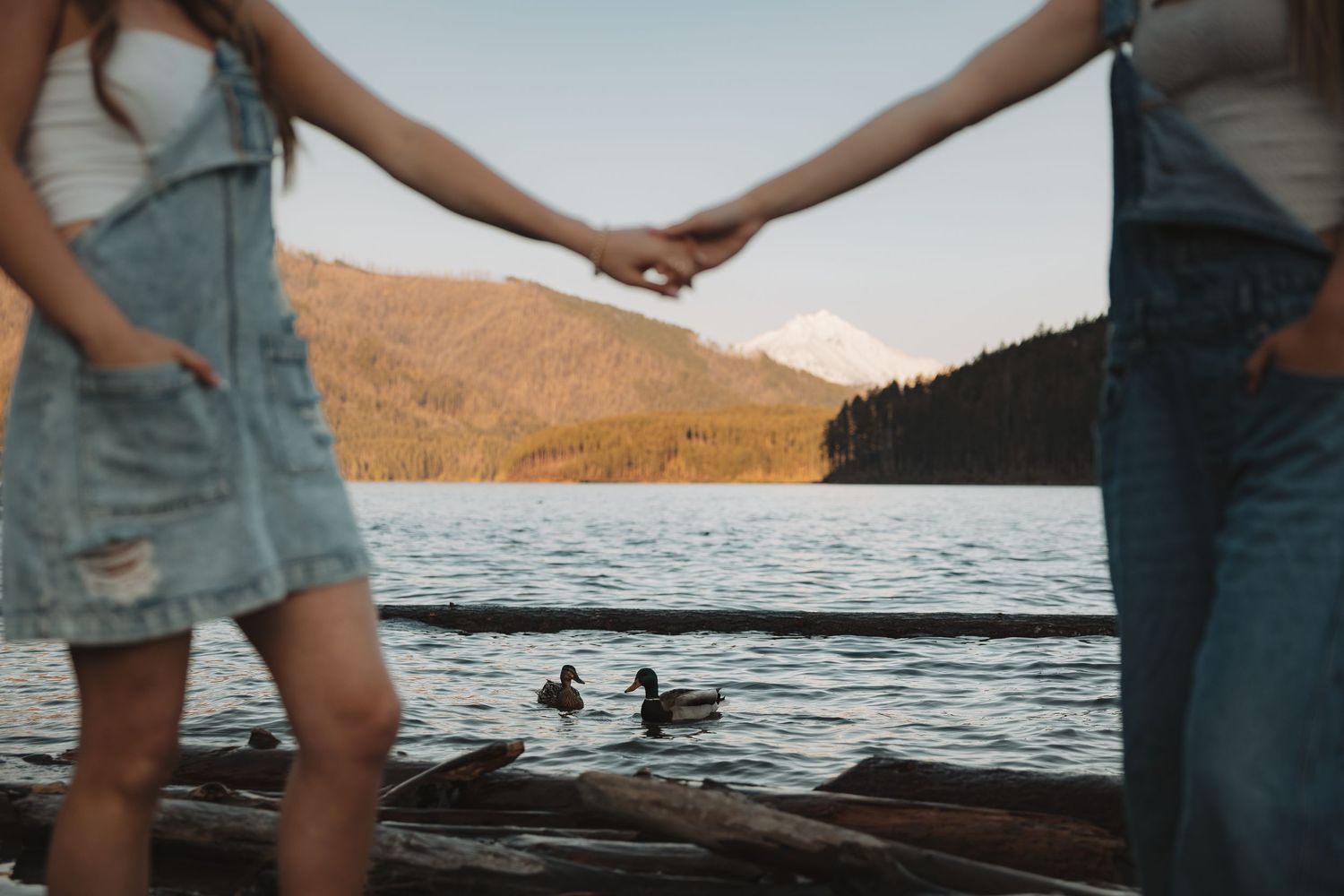 Two women holding hands on a log-strewn lakeshore with ducks swimming in the calm water.