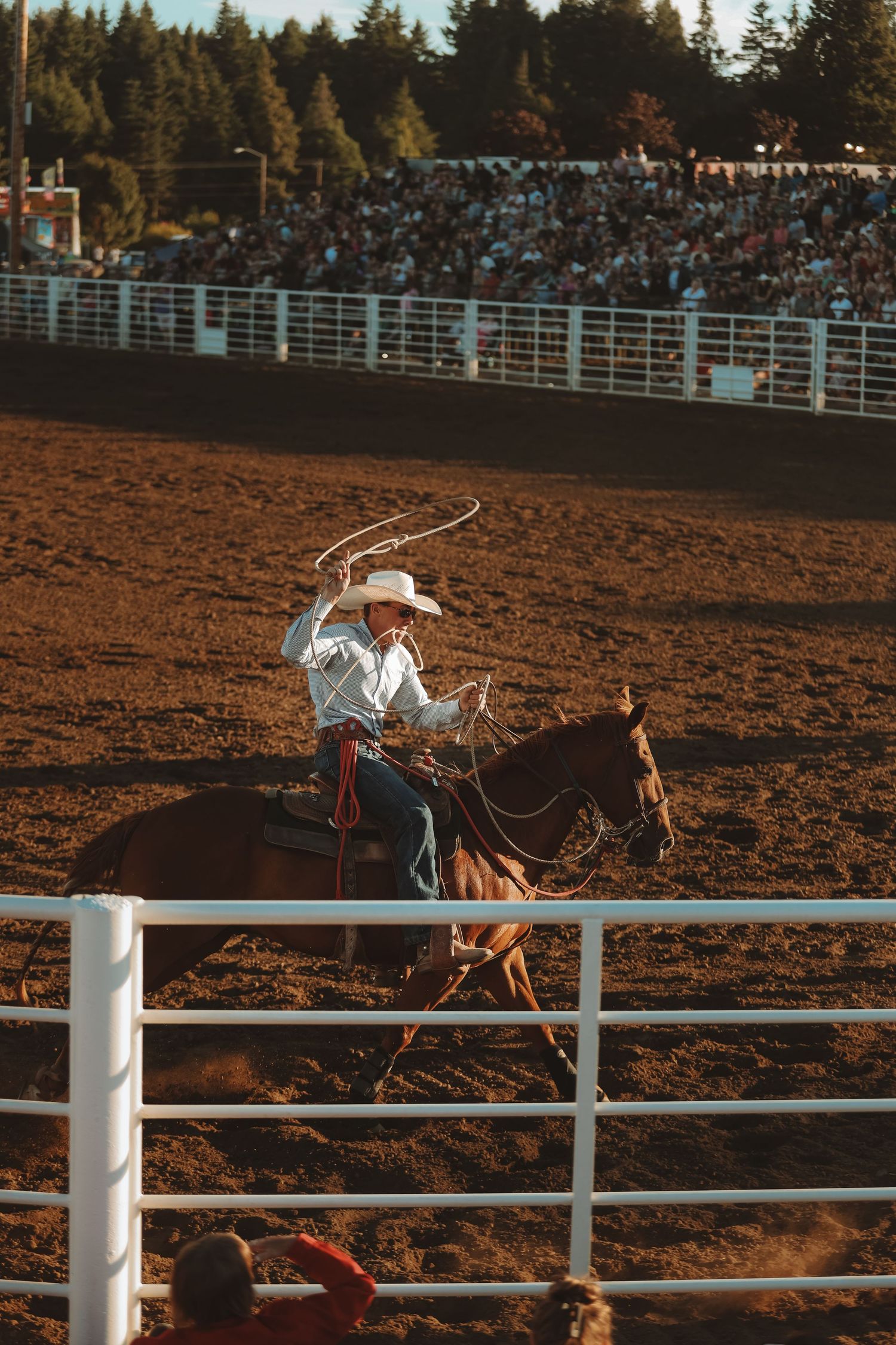 Cowboy on horseback performing with a lasso against white arena fencing at sunset.