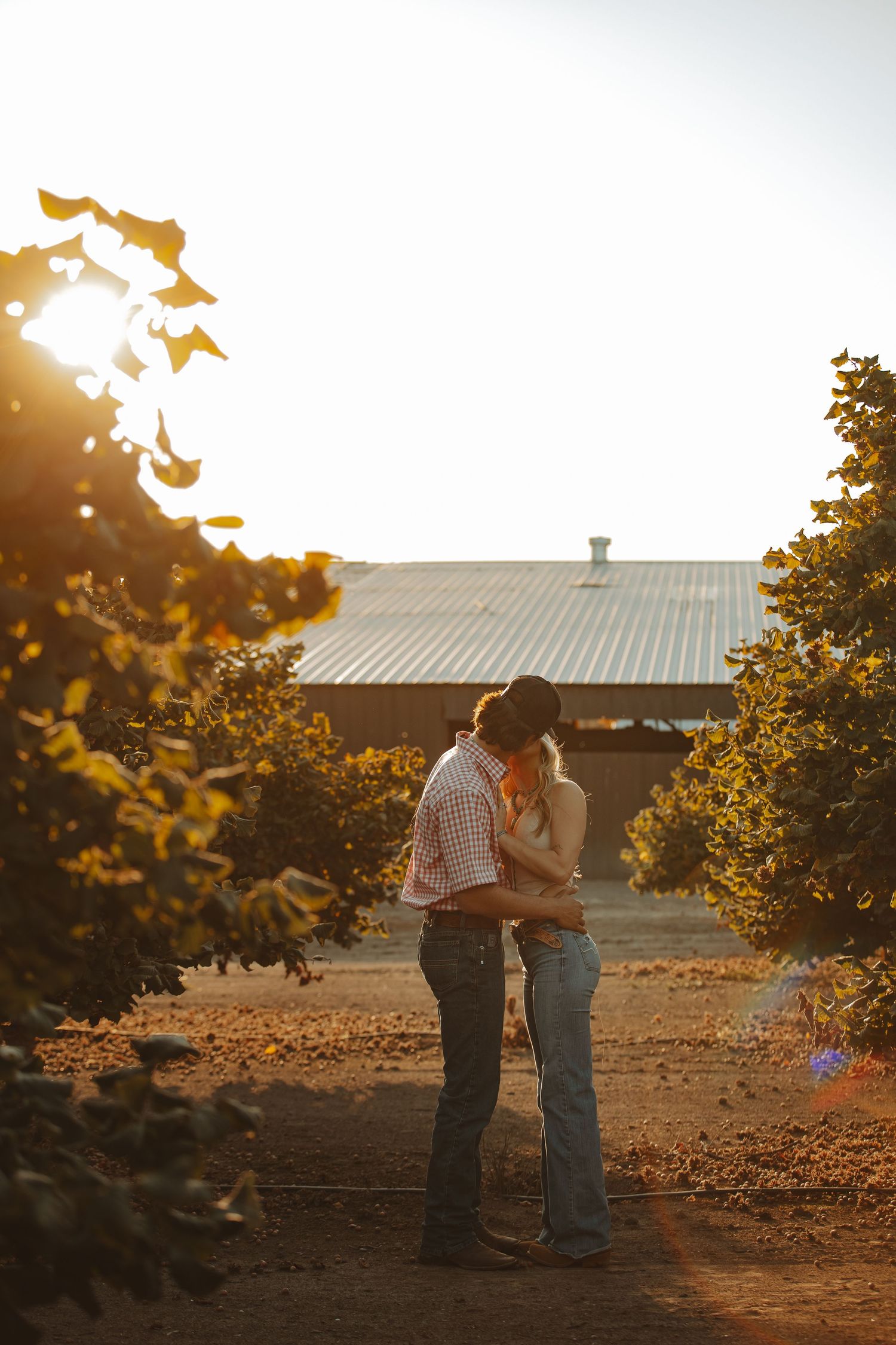 Couple sharing a romantic kiss at golden hour in an orchard with a rustic barn in the background.