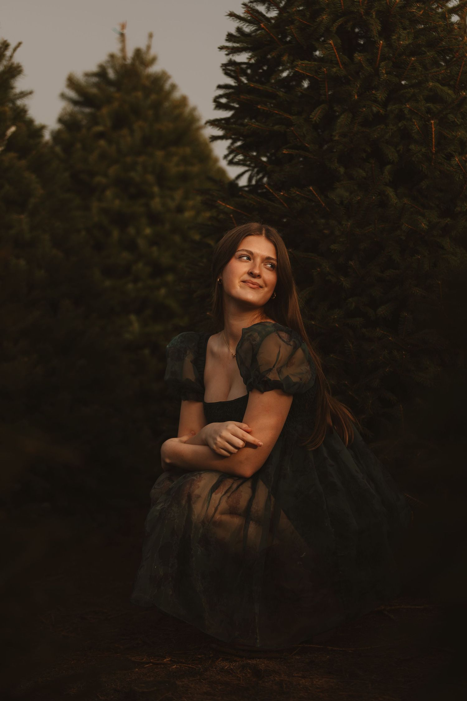 Moody portrait against dark evergreen trees during golden hour.