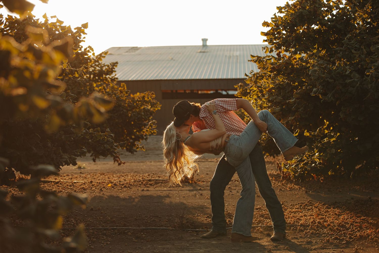 Silhouettes dancing in an orchard during golden hour.