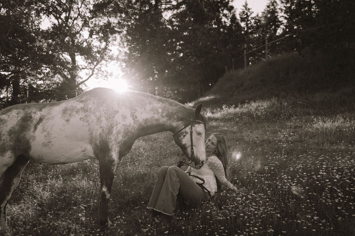 Black and white photo of a person sitting in a sunlit meadow with a horse nuzzling them affectionately.