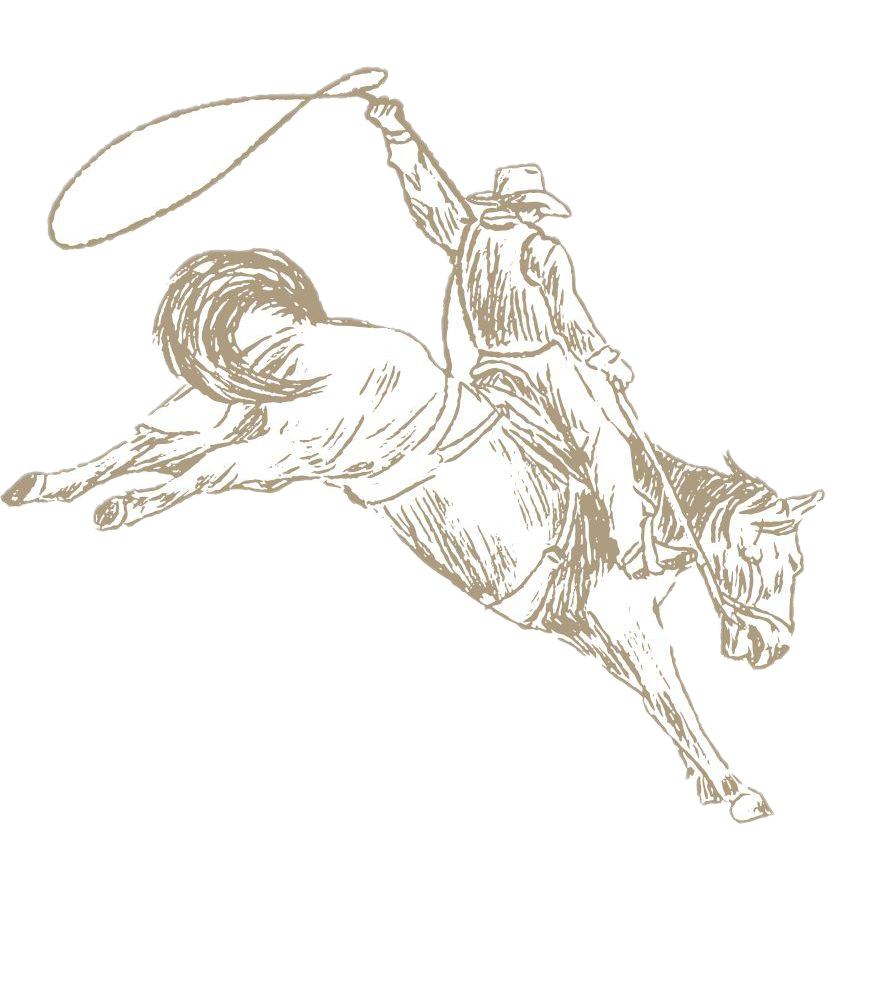Vintage sketch of horses galloping in motion showing dynamic movement and energy.