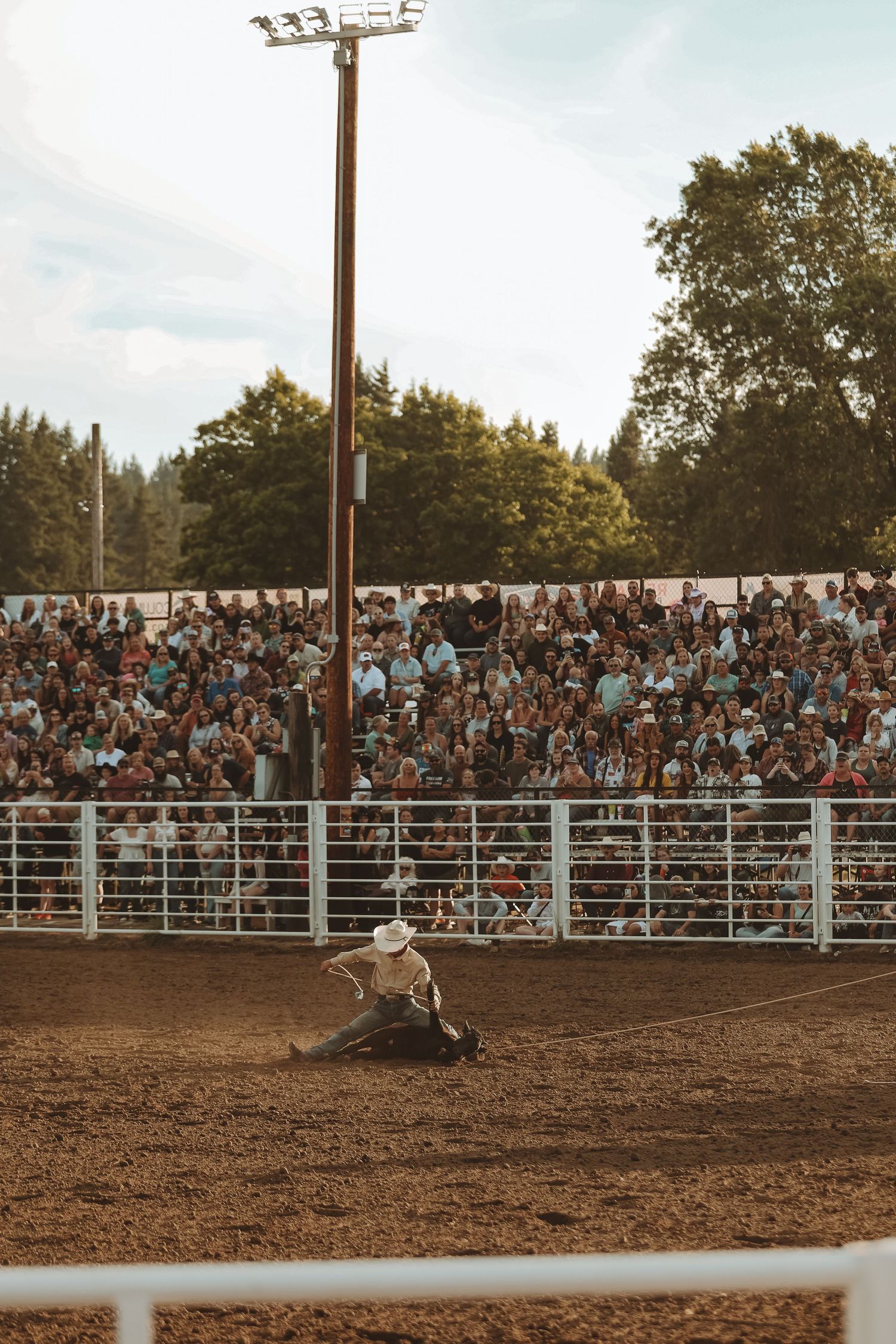 Rodeo participant crouched low in the dirt arena during a performance.
