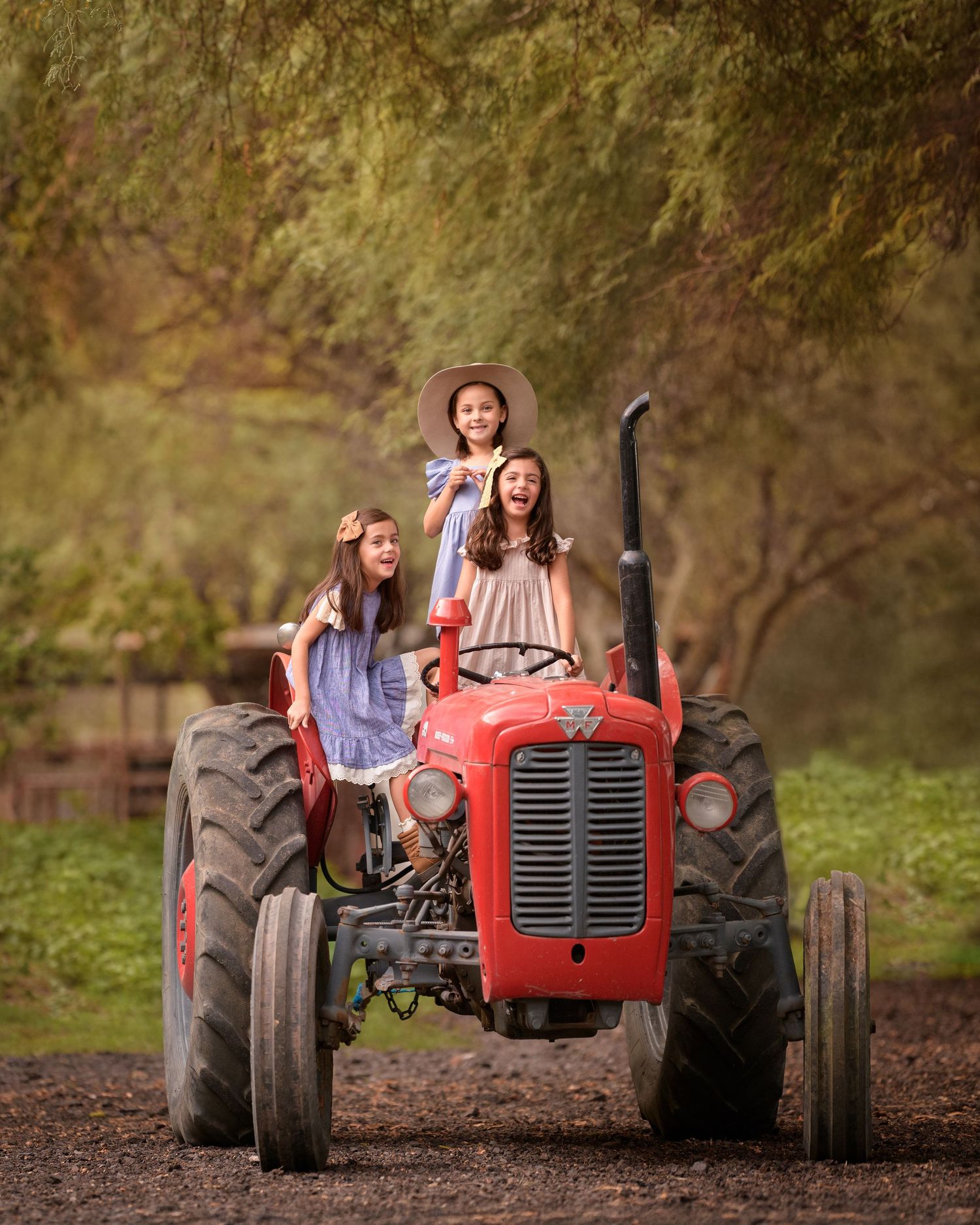 A series of photos showing people having fun posing with a vintage red tractor in an outdoor rustic setting.