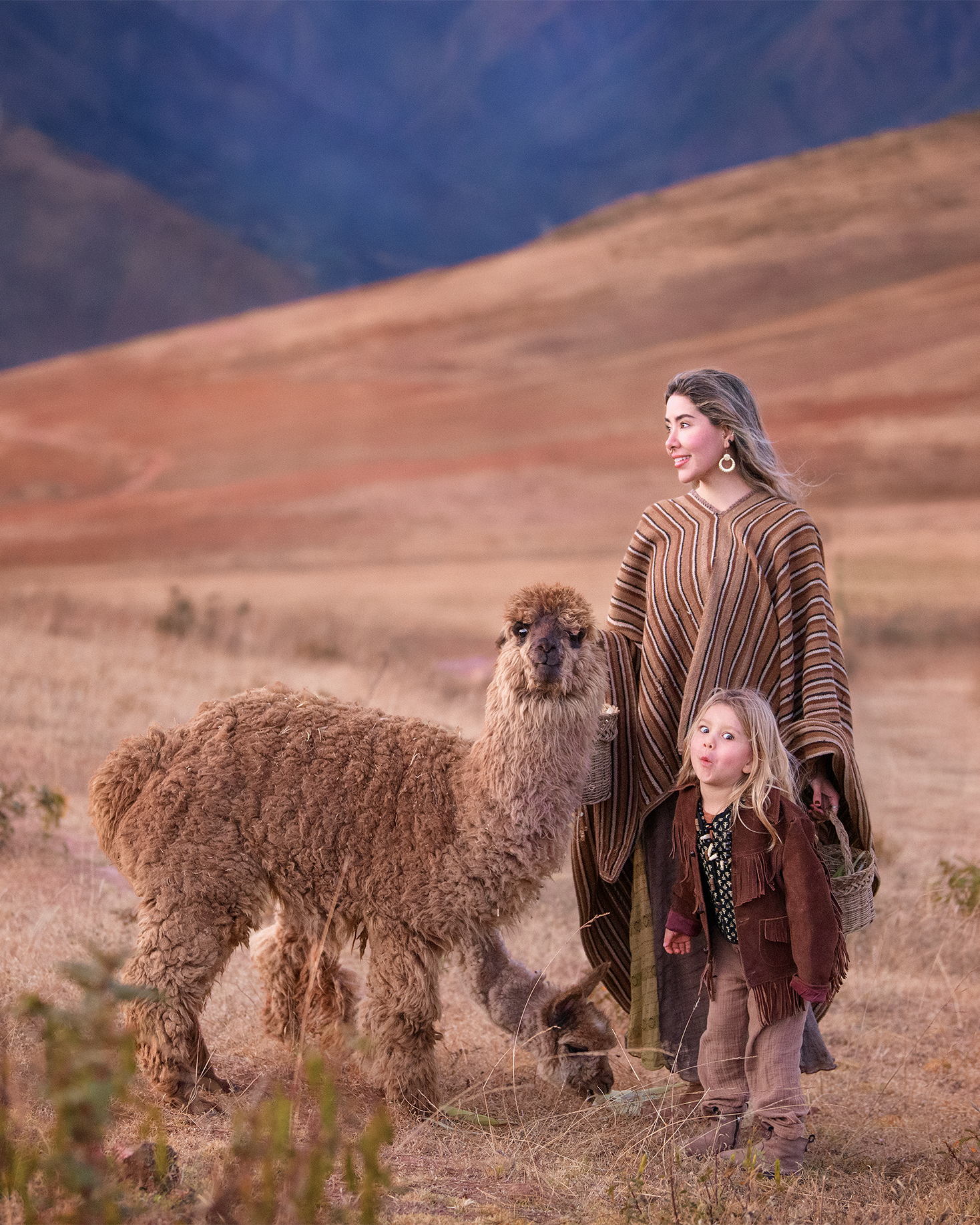 A pastoral scene shows people walking with a large, fluffy alpaca against rolling brown hills in warm evening light.