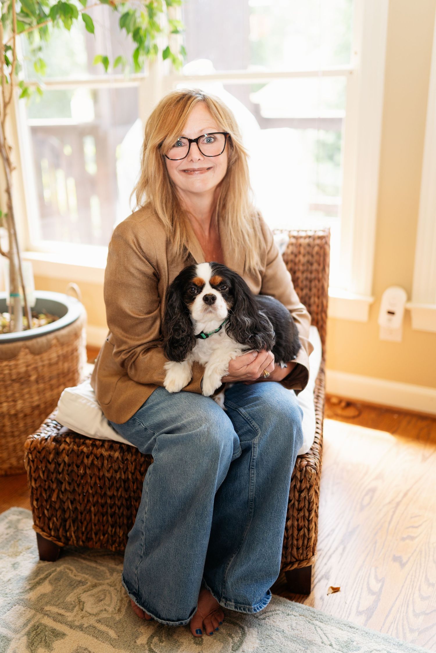 Person sitting with small black and white dog in sunny room with hardwood floors.