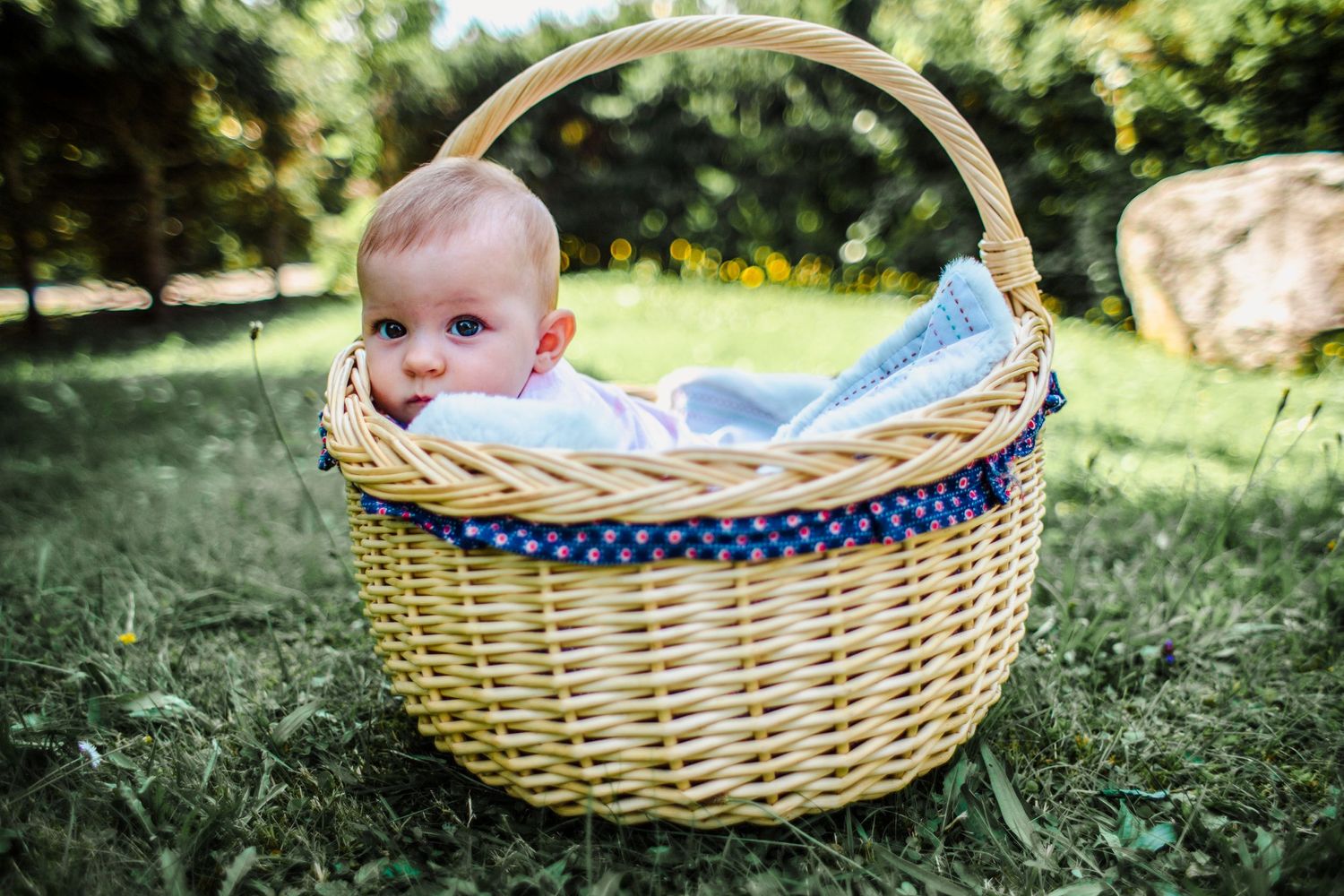 photo bébé dans panier