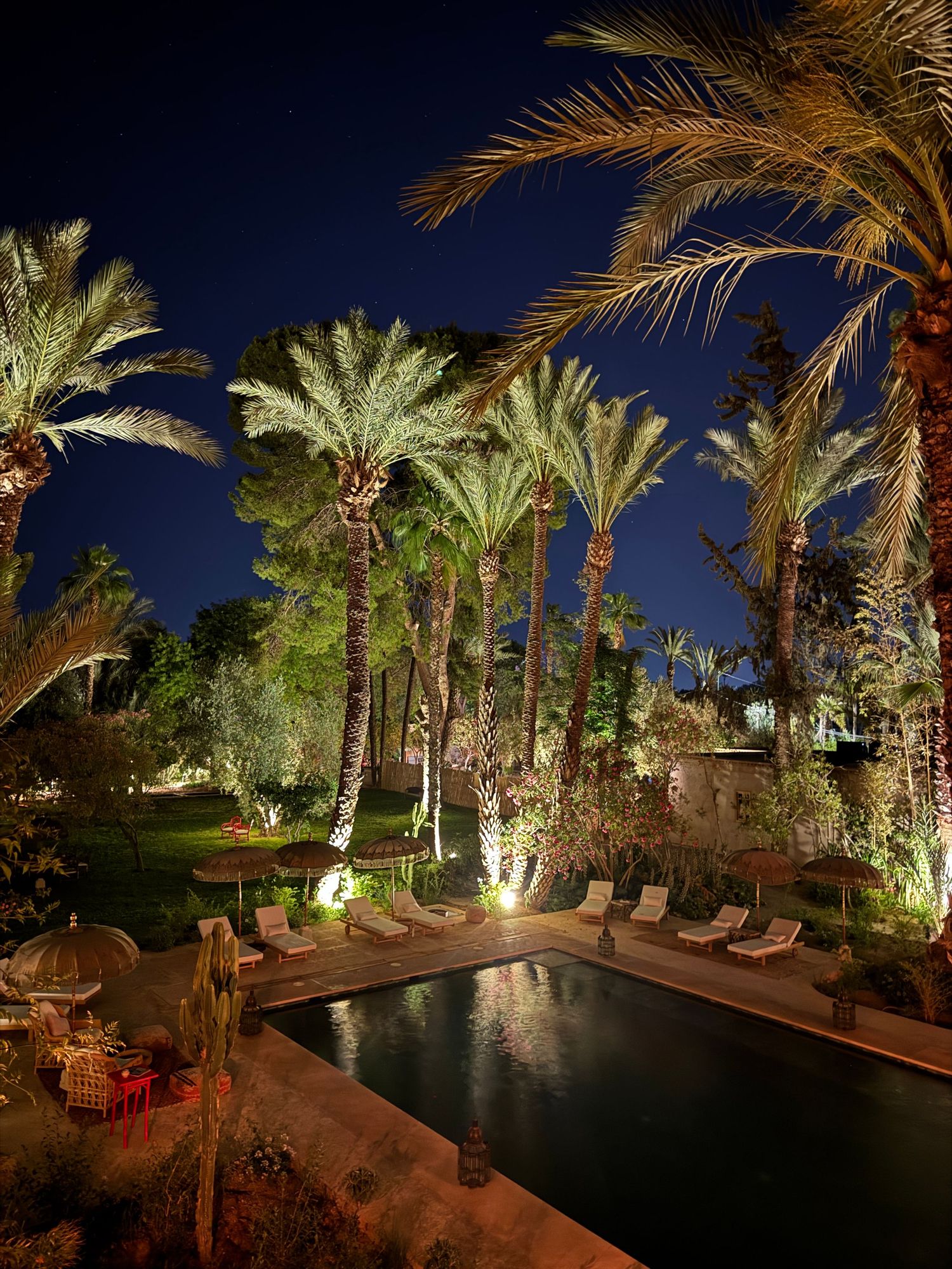 Illuminated palm trees surround a curved swimming pool at night creating a tropical resort atmosphere.