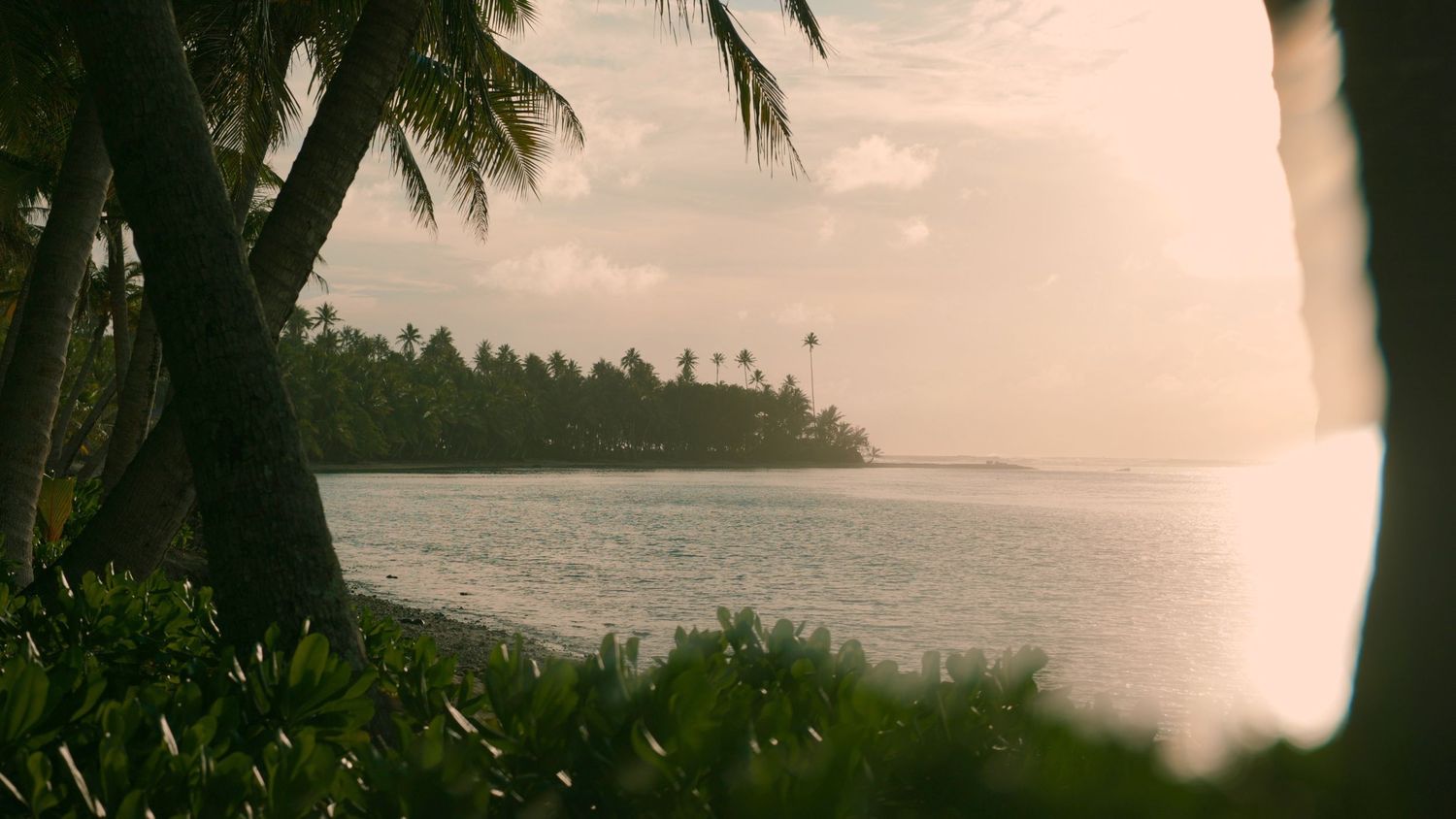 Palm trees frame a tranquil tropical seascape at sunset with distant palm-lined shores on the horizon.