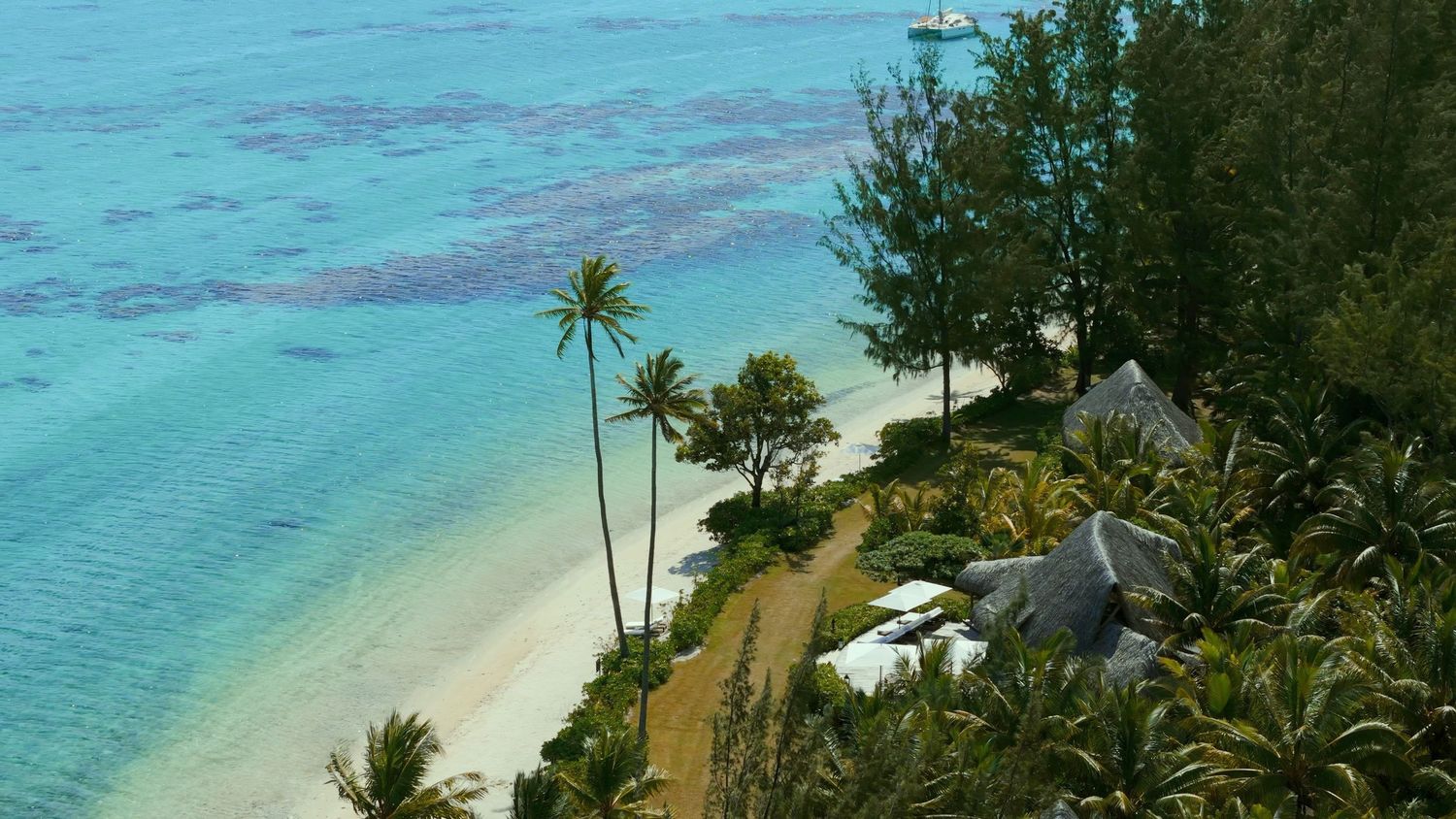 Aerial view of a secluded tropical beach with turquoise water, palm trees and lush vegetation in Hawaii.