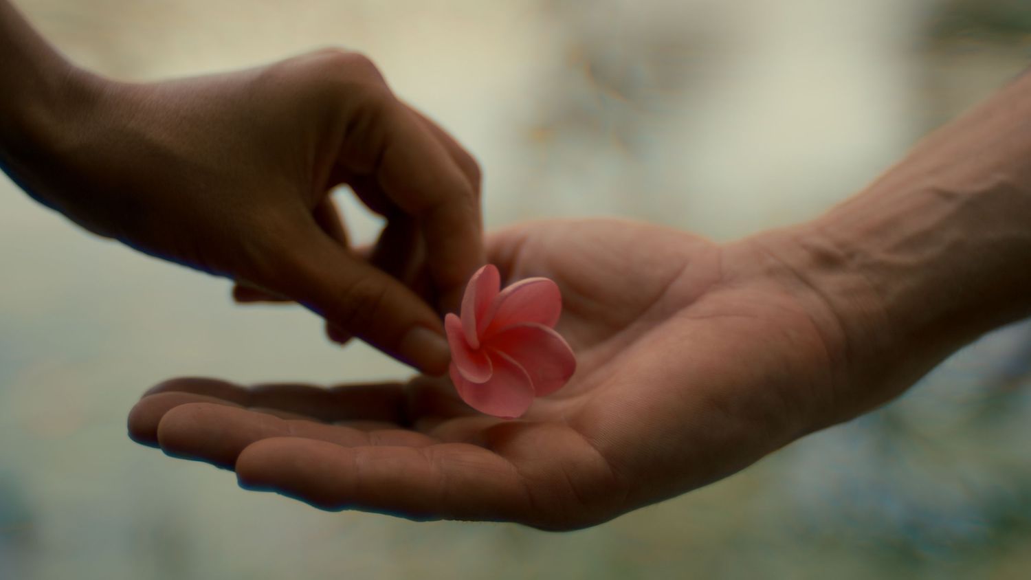 Hands pass a red paper heart back and forth in a sequence of close-up shots.