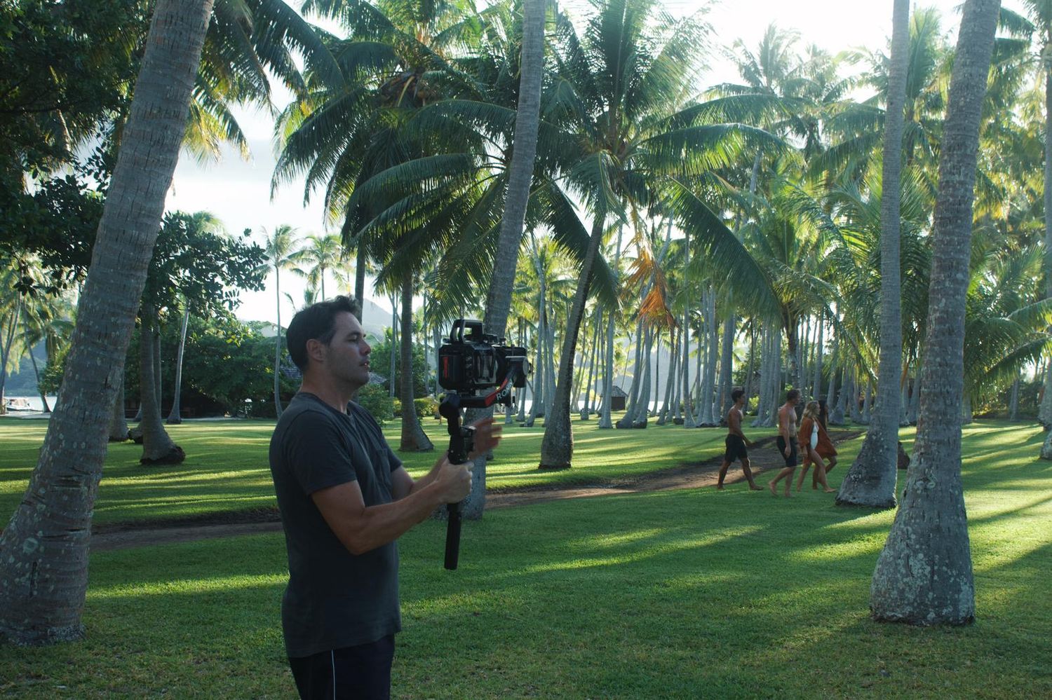 People walking and relaxing among palm trees in a tropical beachfront park on a sunny day.
