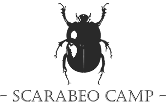 A dark silhouette logo design of a scarab beetle with text underneath reading 'SCARABEO CAMP' on a light background.