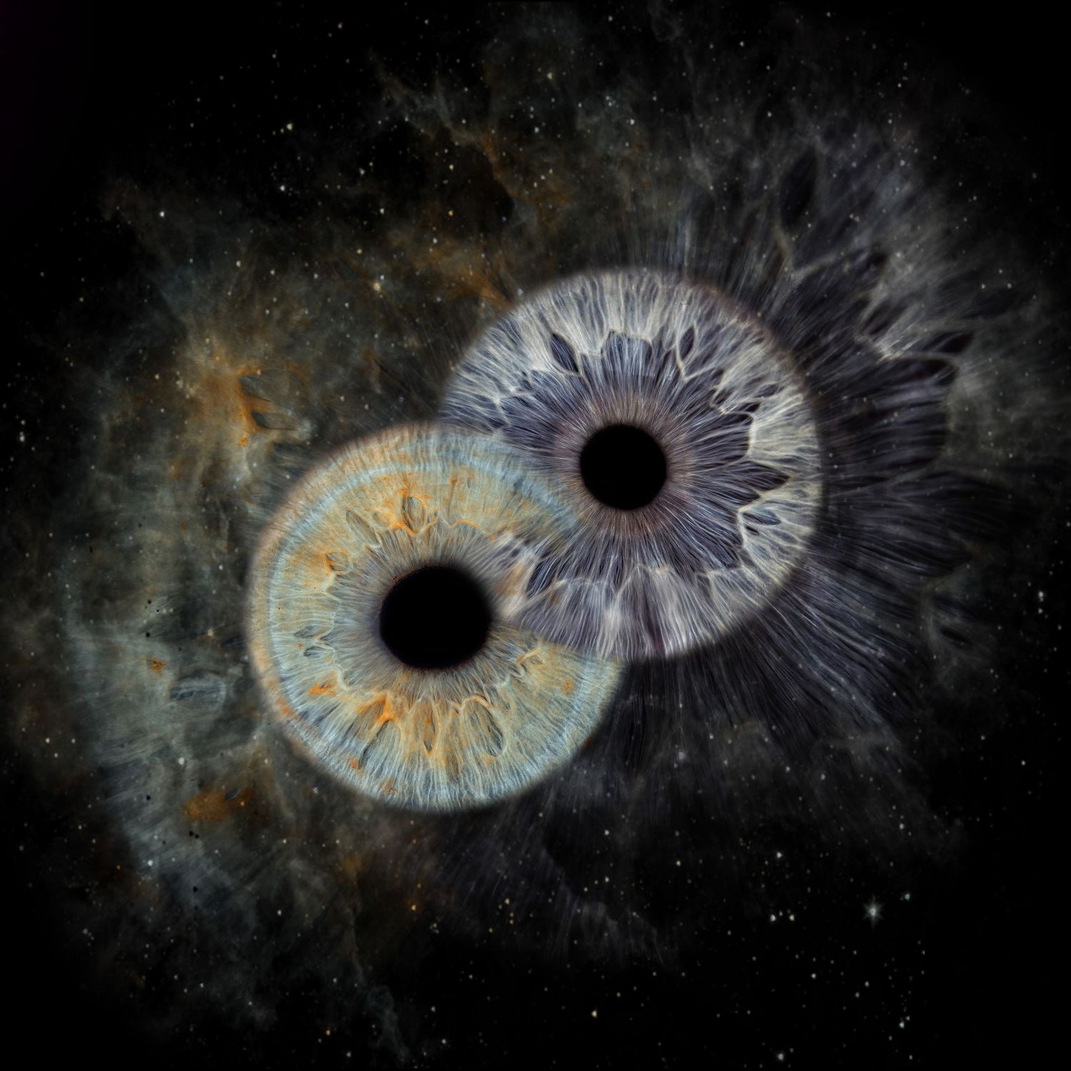 Surreal cosmic artwork showing two detailed iris patterns floating in a dark nebulous space with stars and gas clouds.